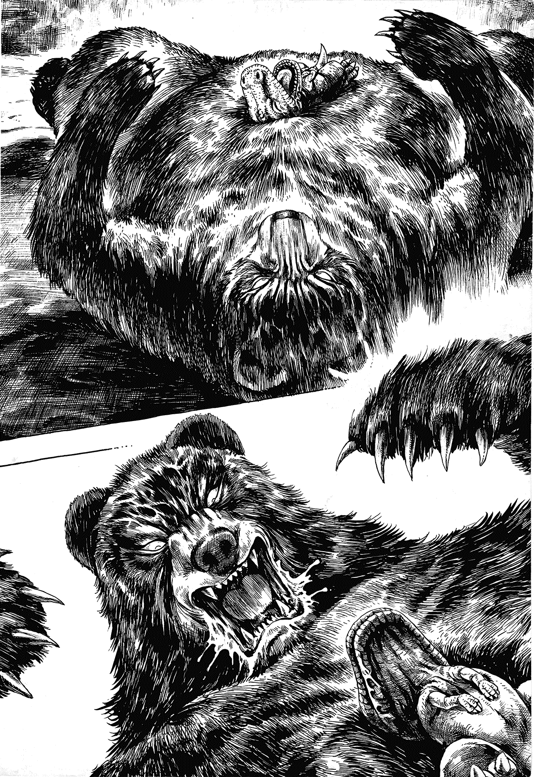 Gon Vol. 1 Ch. 1 第34页