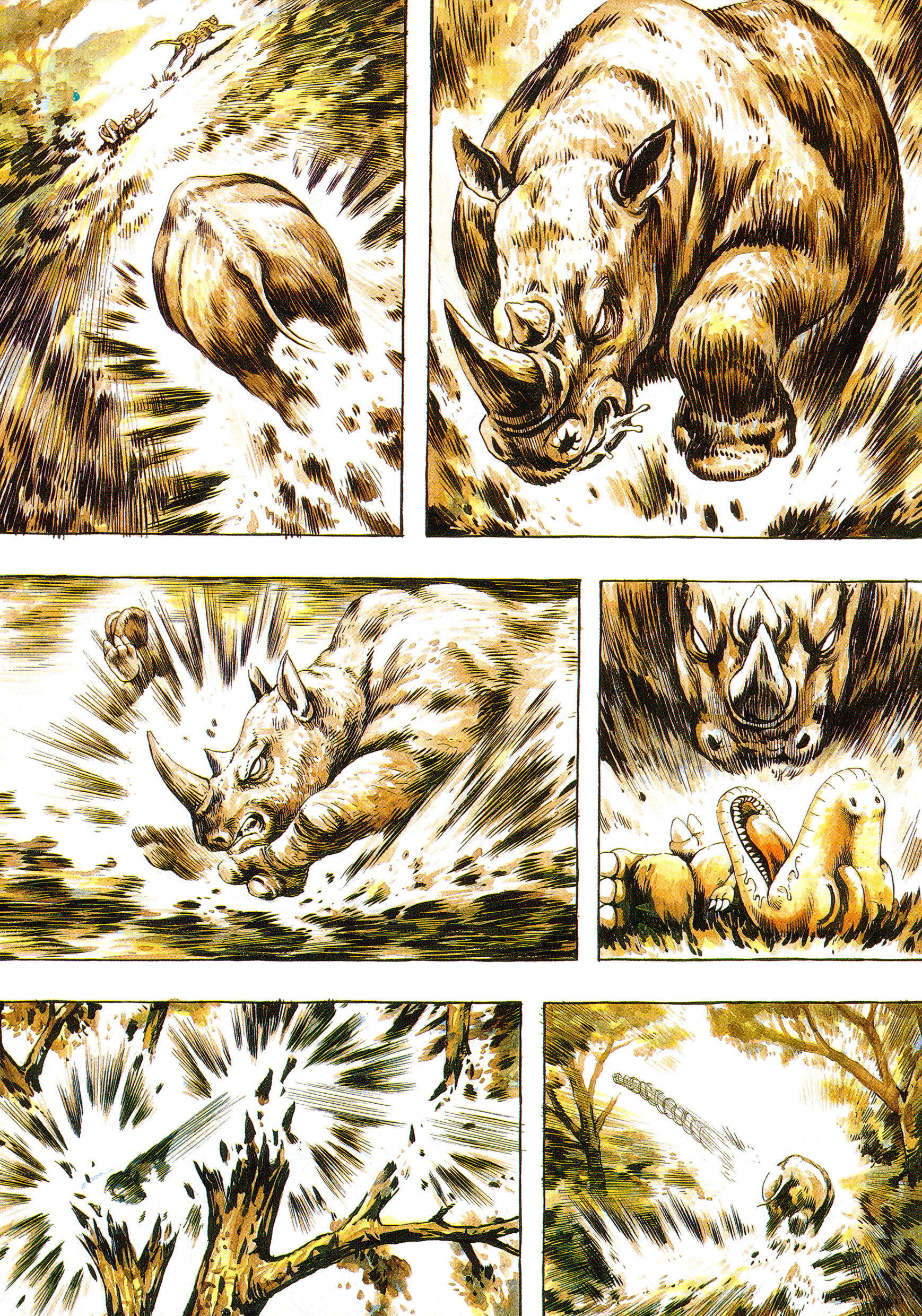 Gon Vol. 1 Ch. 1 第6页