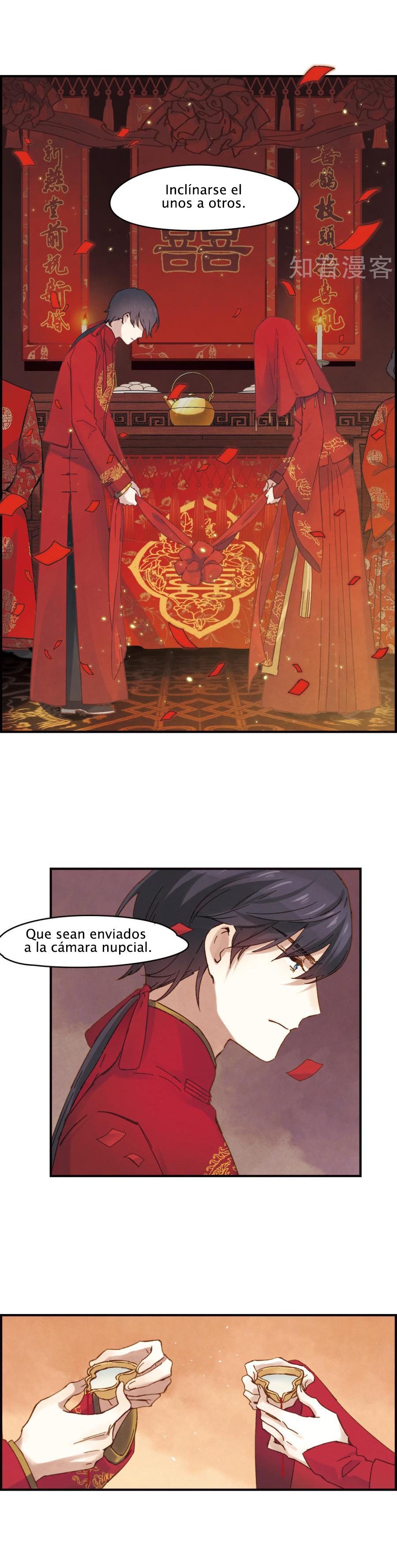 Mejaz - Regulus in the World Gran Boda 第11页