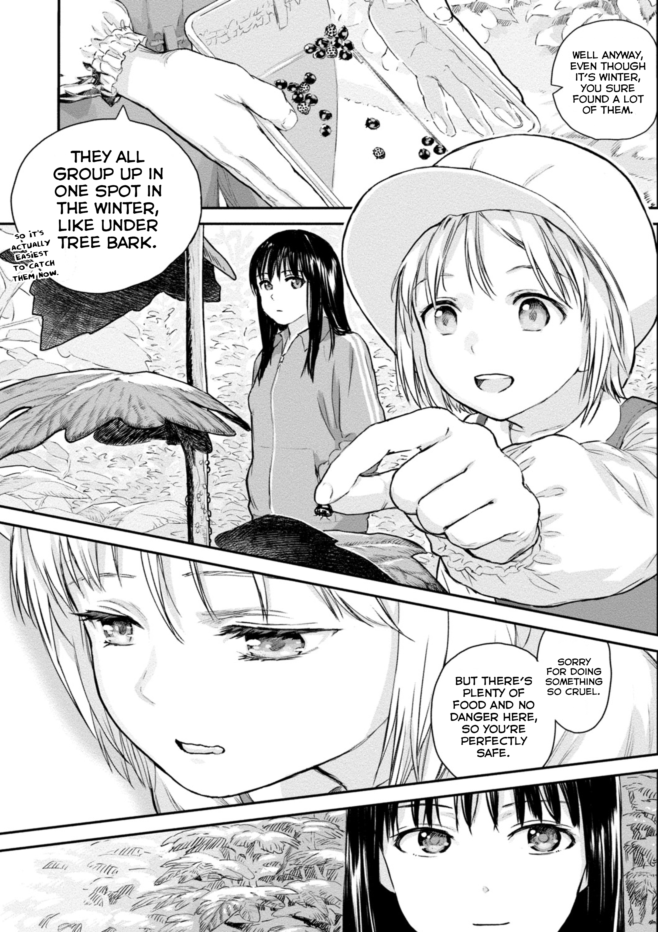 Mai's Insect Life Ladybug 第9页