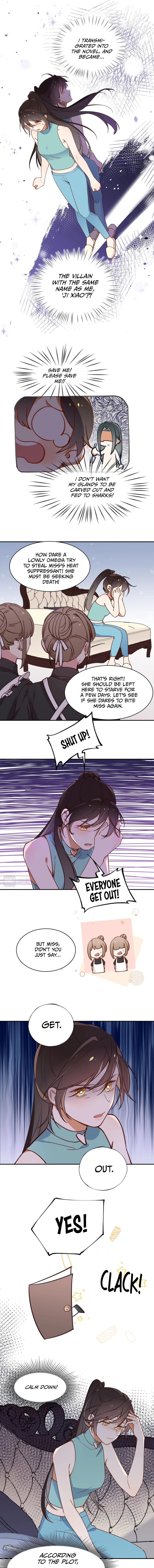 Omega Heroine Wants Her Alpha Villainess Transmigrating into a Villain 第6页