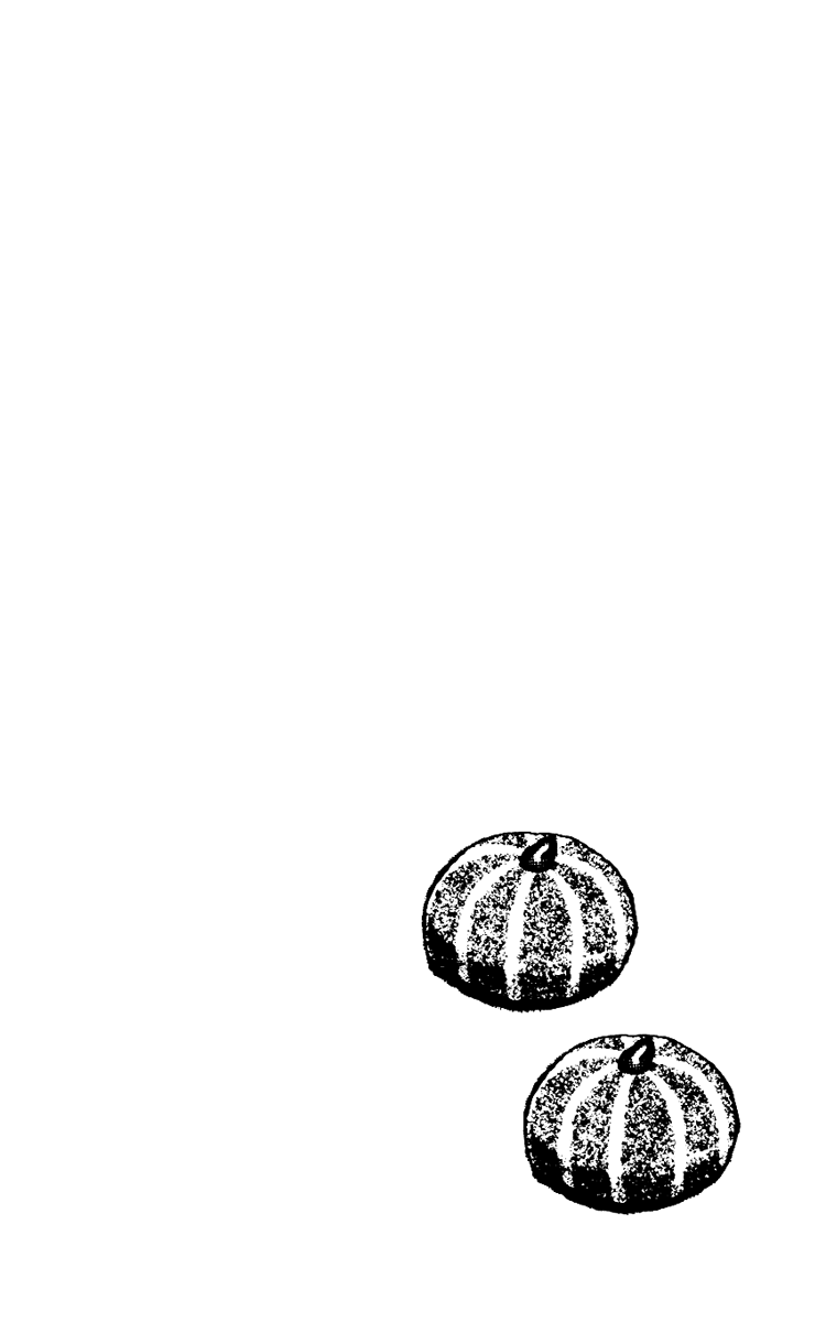 Fukuyadou Honpo Vol. 2 Ch. 5 第49页