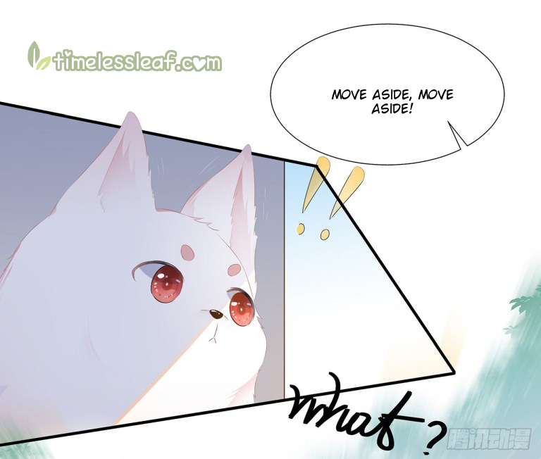 Fox Concubine, Don't Play With Fire Vol. 1 Ch. 1 第15页