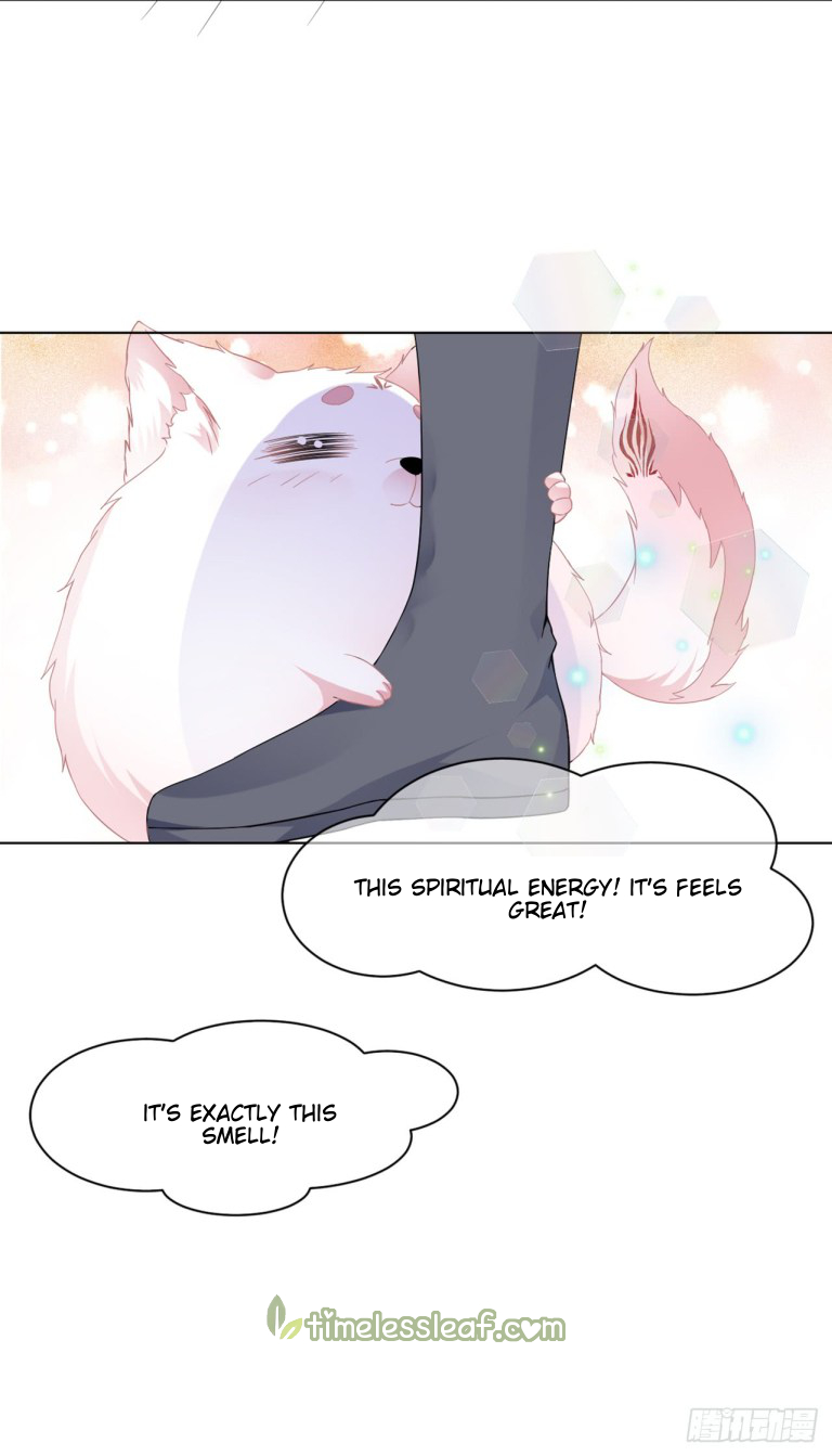Fox Concubine, Don't Play With Fire Vol. 1 Ch. 1 第34页