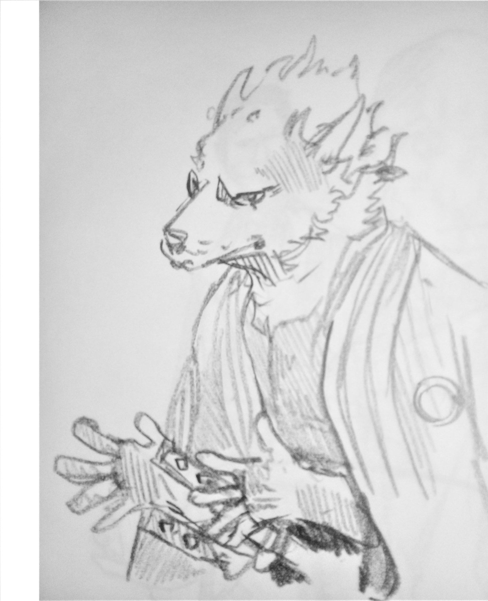 Dog Nigga Mon histoire 第10页