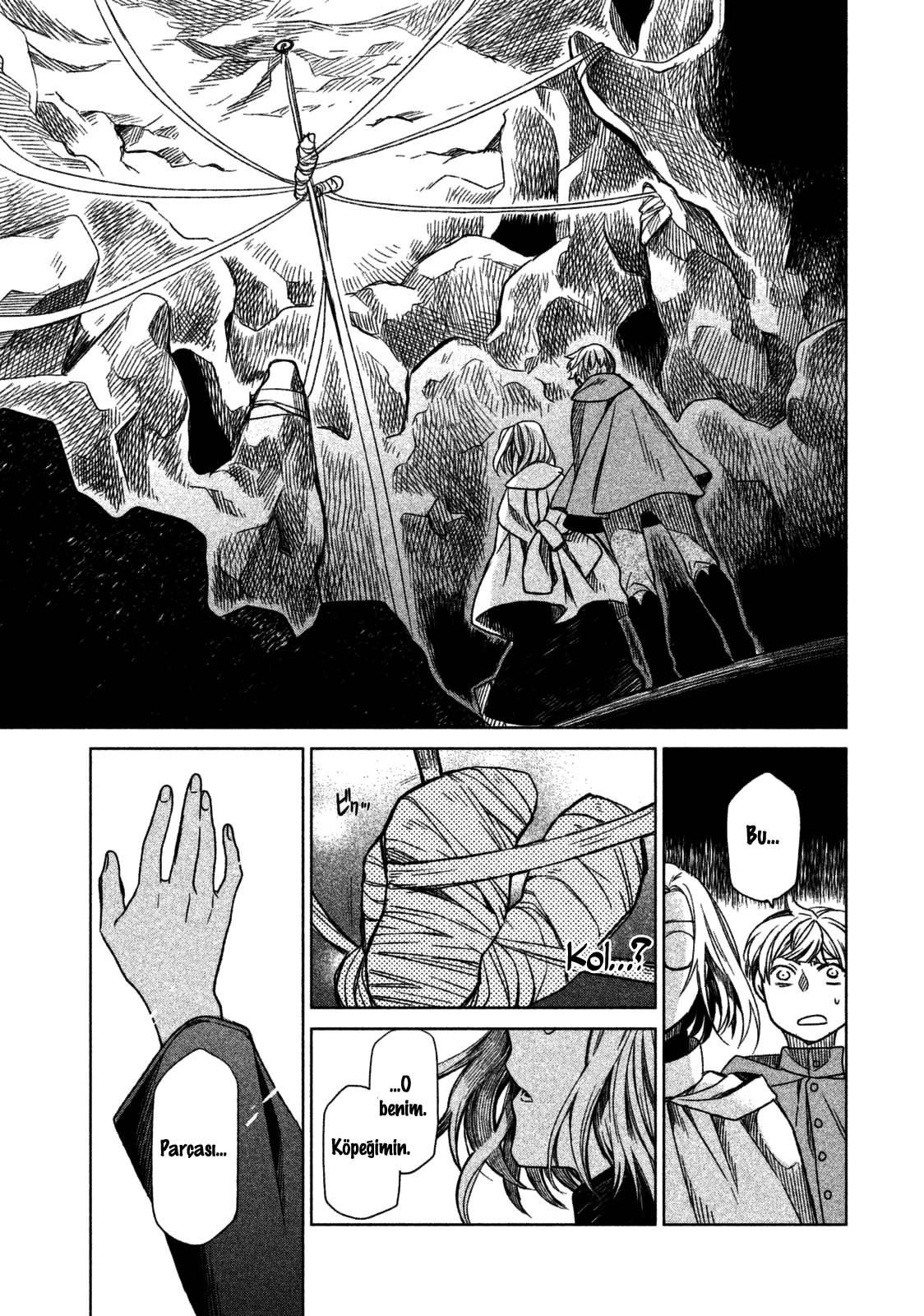 Frau Faust Masallardaki Adam 第35页
