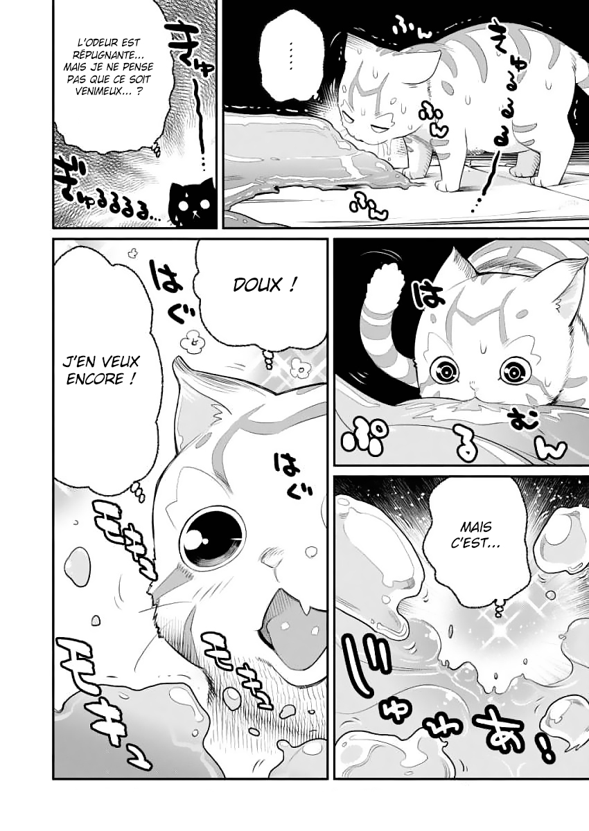 S-Rank Monster no "Behemoth" dakedo, Neko to Machigawarete Elf Musume no Pet to Shite Kurashitemasu Vol. 1 Ch. 1 第13页