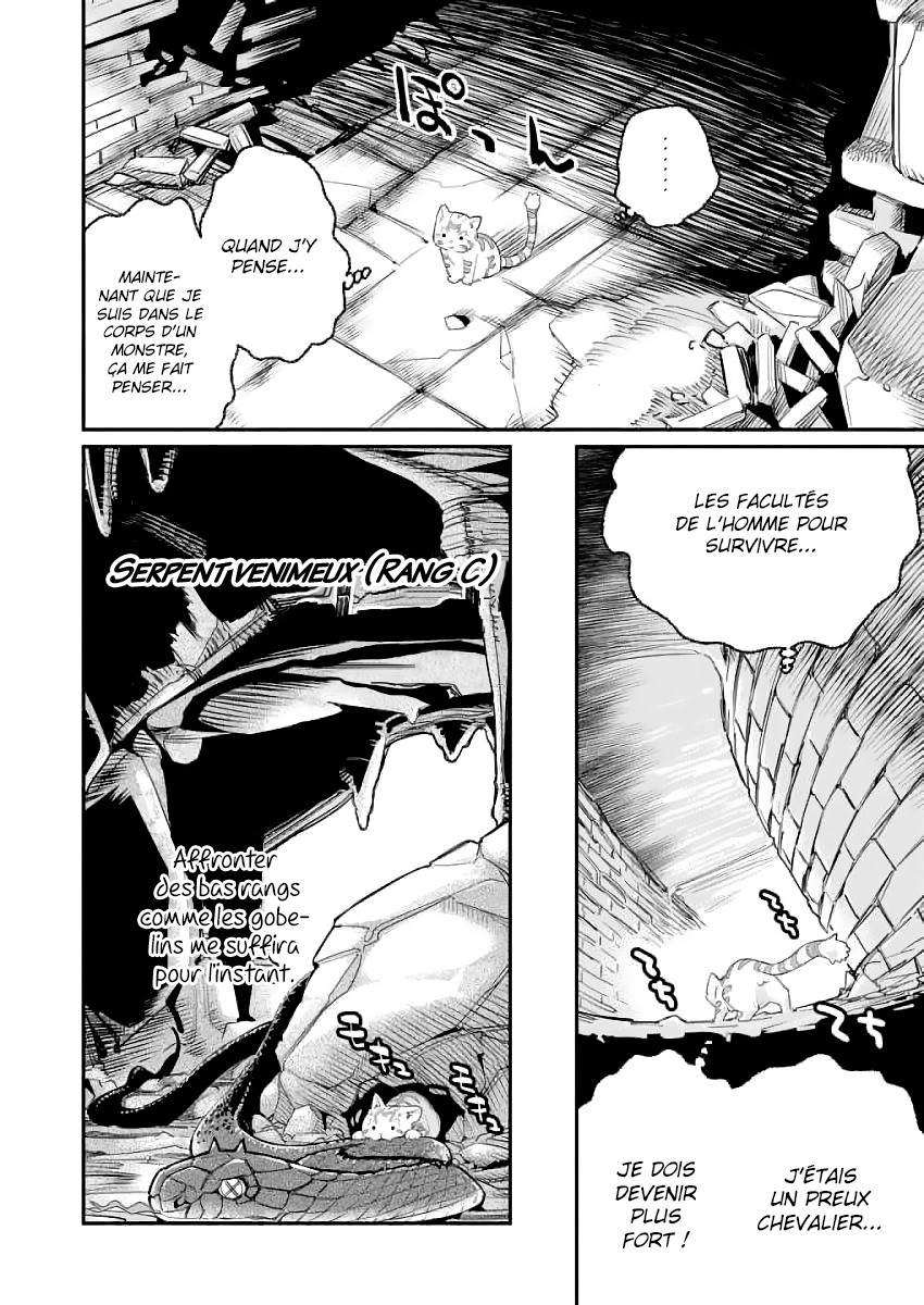 S-Rank Monster no "Behemoth" dakedo, Neko to Machigawarete Elf Musume no Pet to Shite Kurashitemasu Vol. 1 Ch. 1 第15页