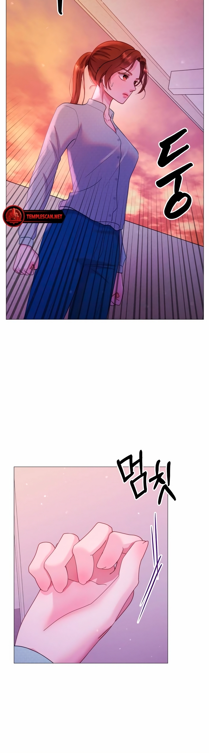 Manual for Using Fierce Beast Ch. 8 第28页
