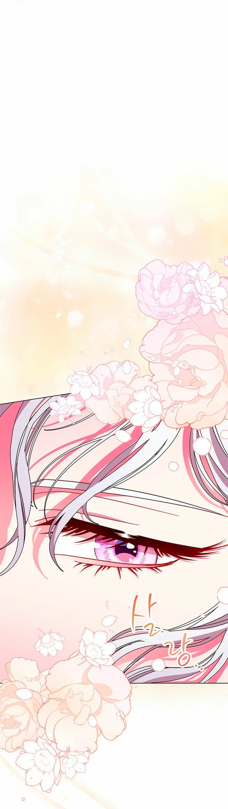 I Became the Mother of the Evil Male Lead Ch. 5 第5页