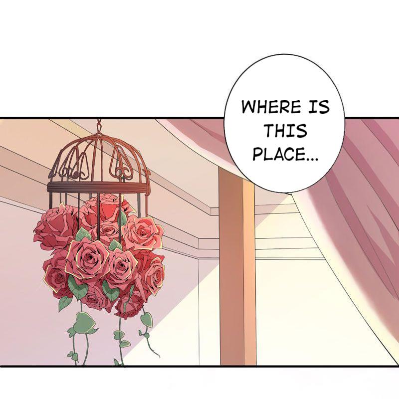 The President's Alternate Bride 003 第10页