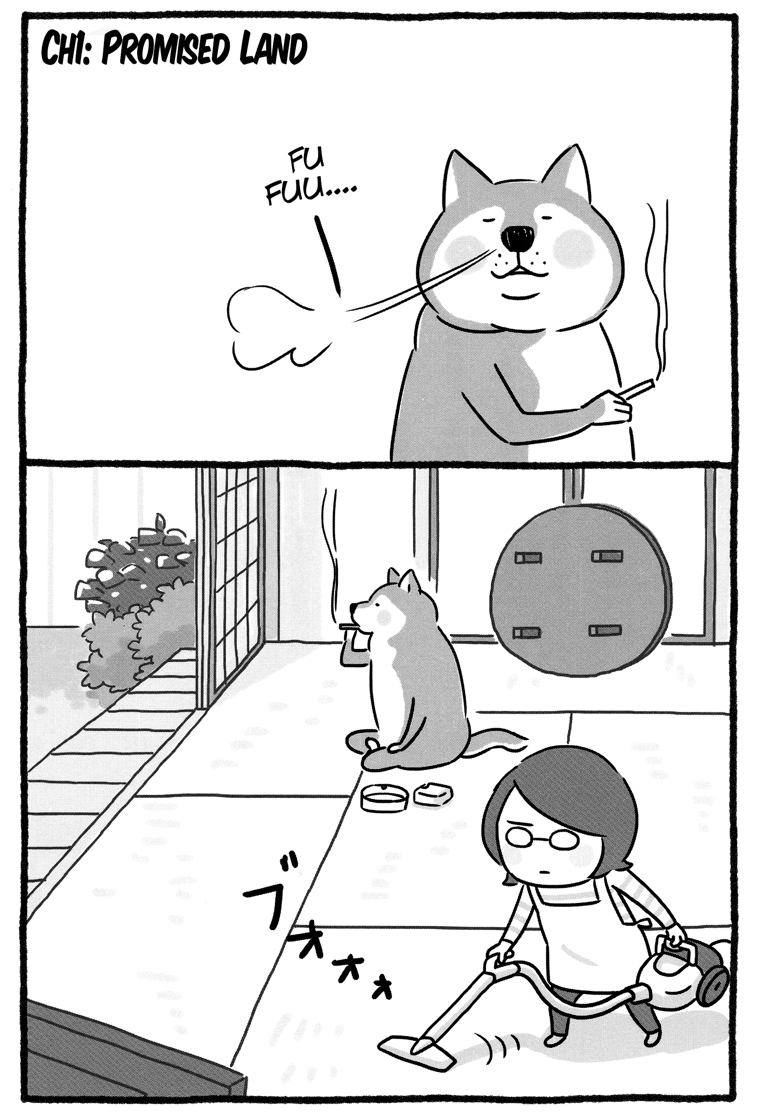 Shiba Occhan The Promised Land 第2页
