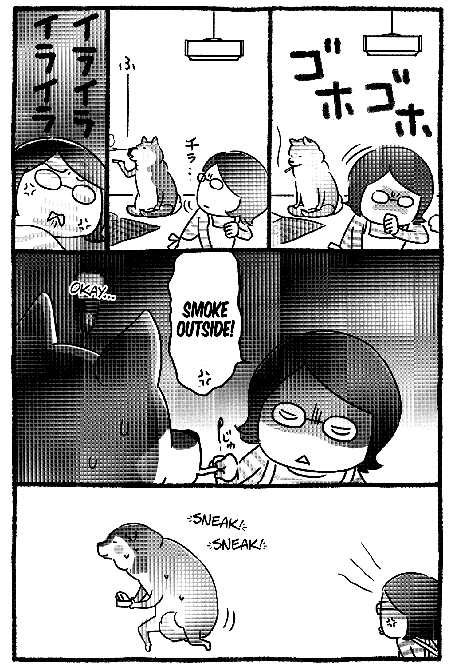 Shiba Occhan The Promised Land 第4页