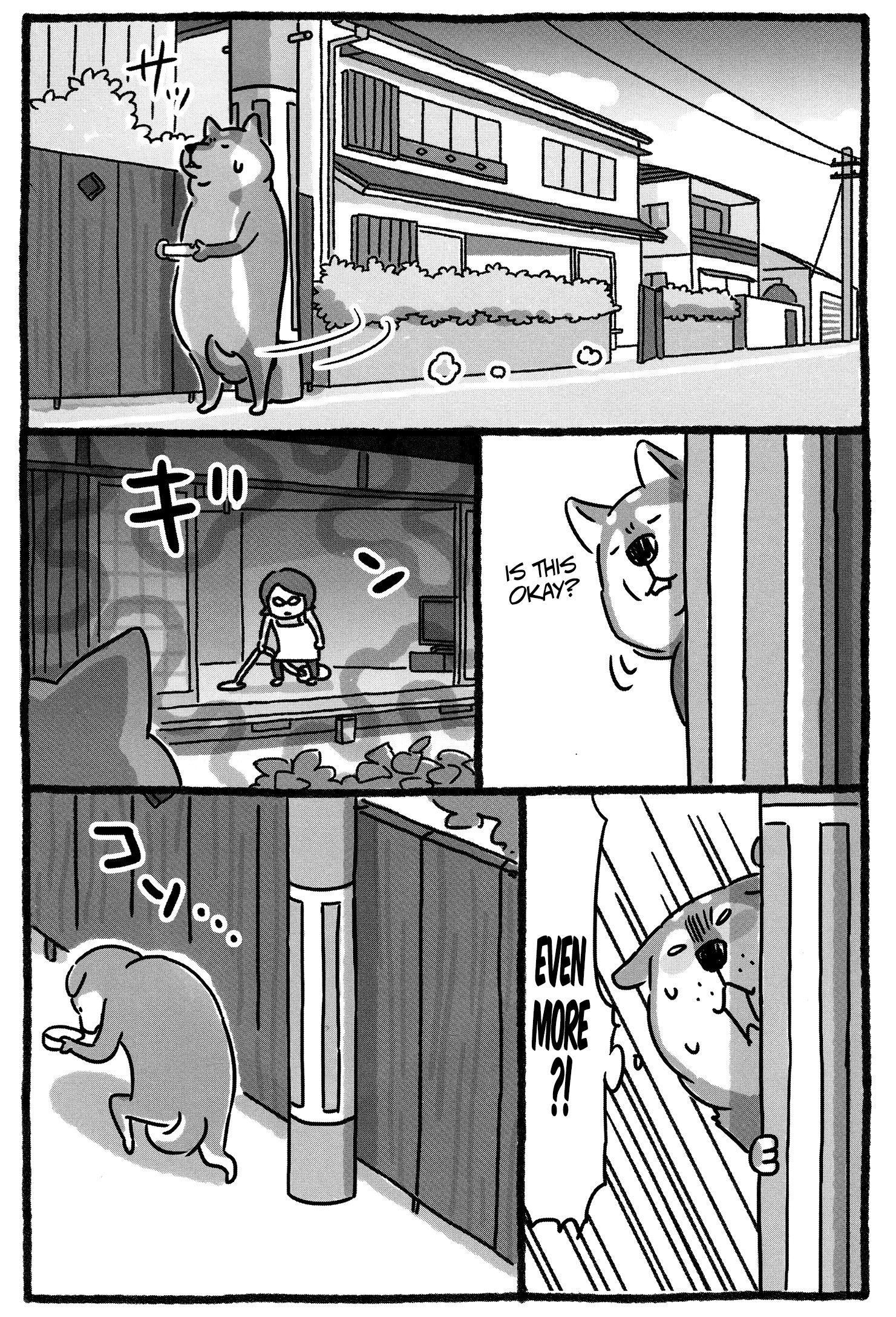 Shiba Occhan The Promised Land 第6页