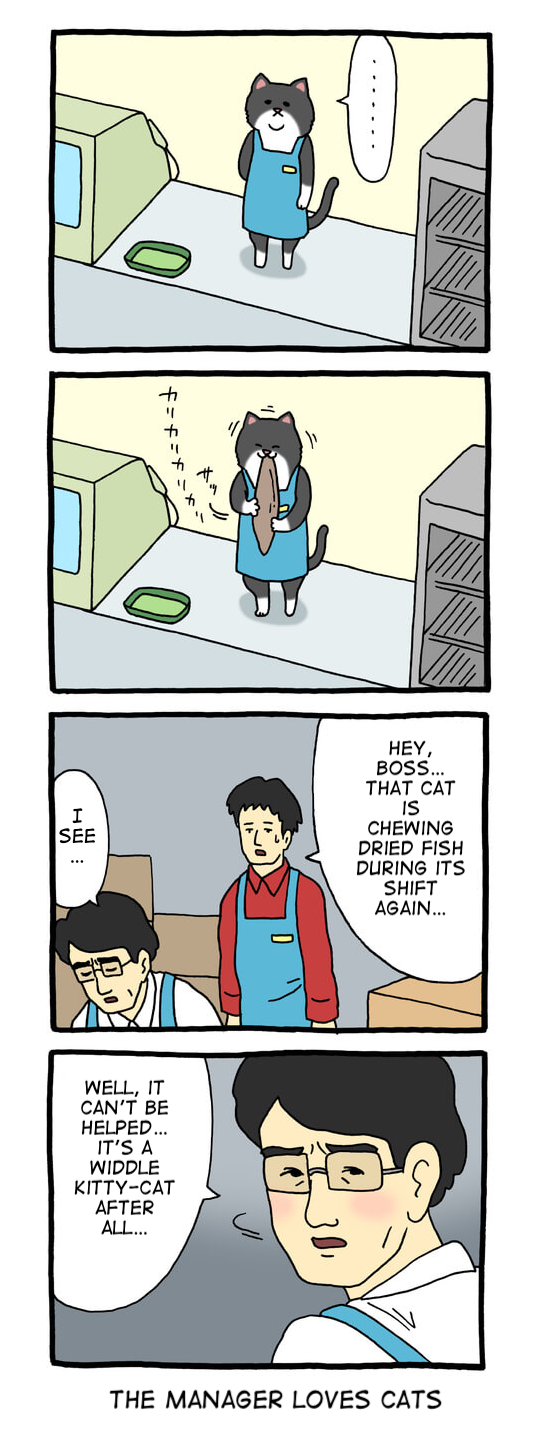 Register Cat 第4页