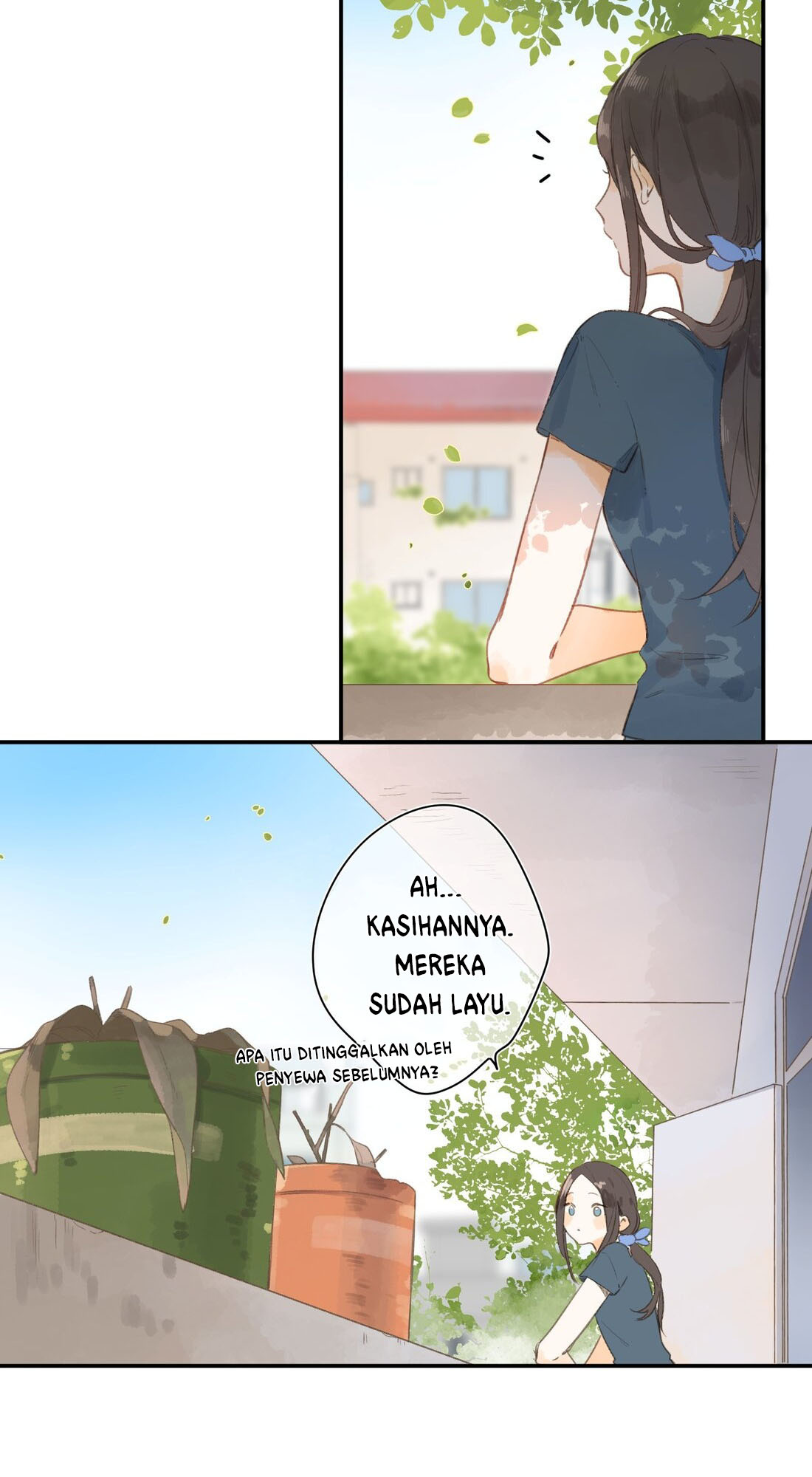 Summer Bloom At The Corner of The Street Pertemuan Pertama Diantara Bunga 第21页