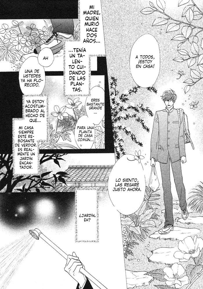 Silver Diamond Semilla plateada 第21页