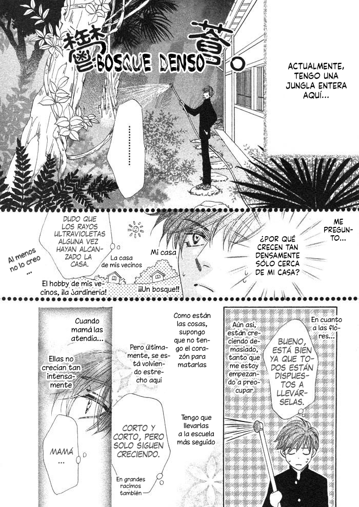 Silver Diamond Semilla plateada 第22页