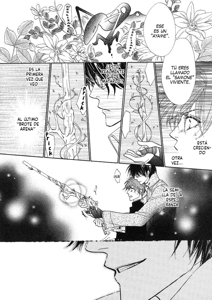 Silver Diamond Semilla plateada 第39页
