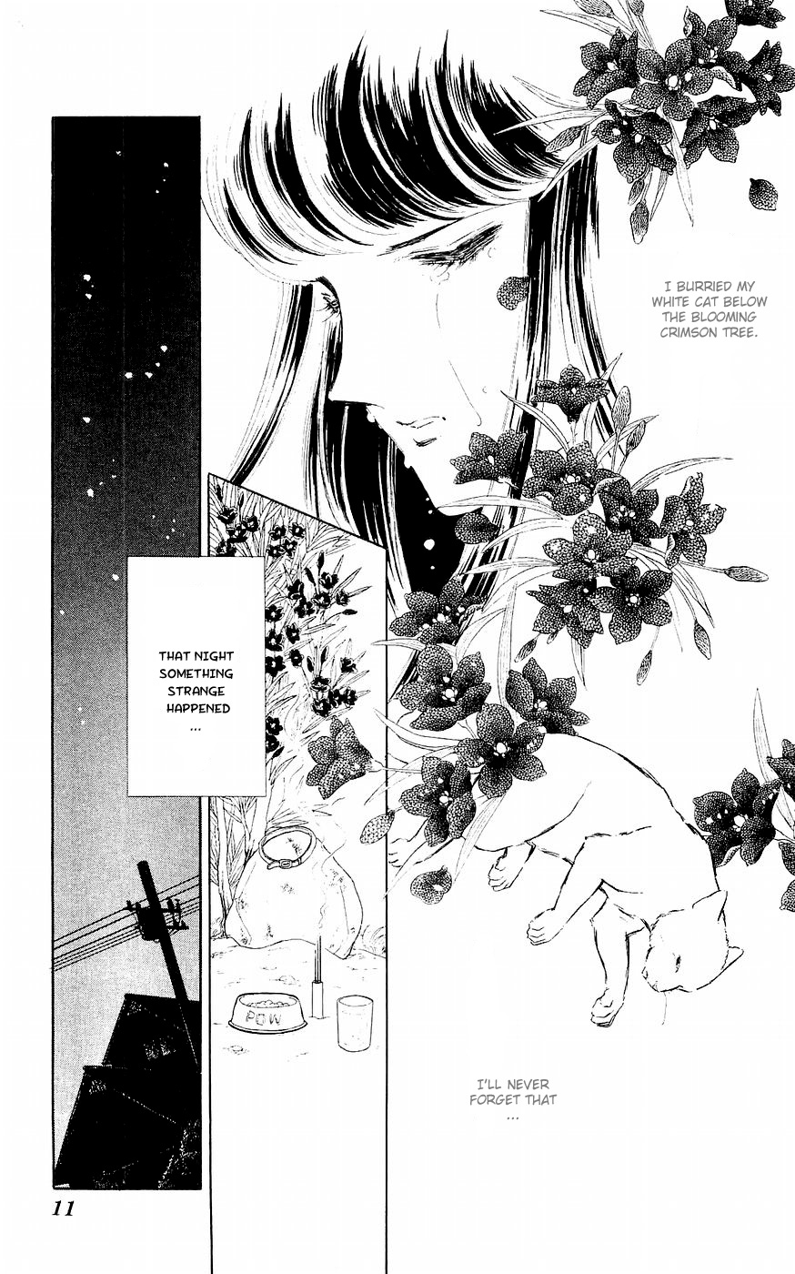 A Record of Ryoko's Psychic Events A cat floating in the darkness 第12页