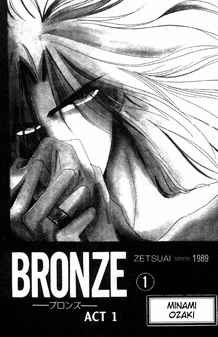 Bronze 第6页