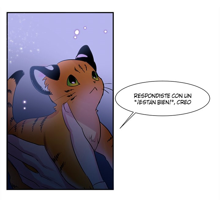 Cat in a Cardboard Box Ch. 1 第42页