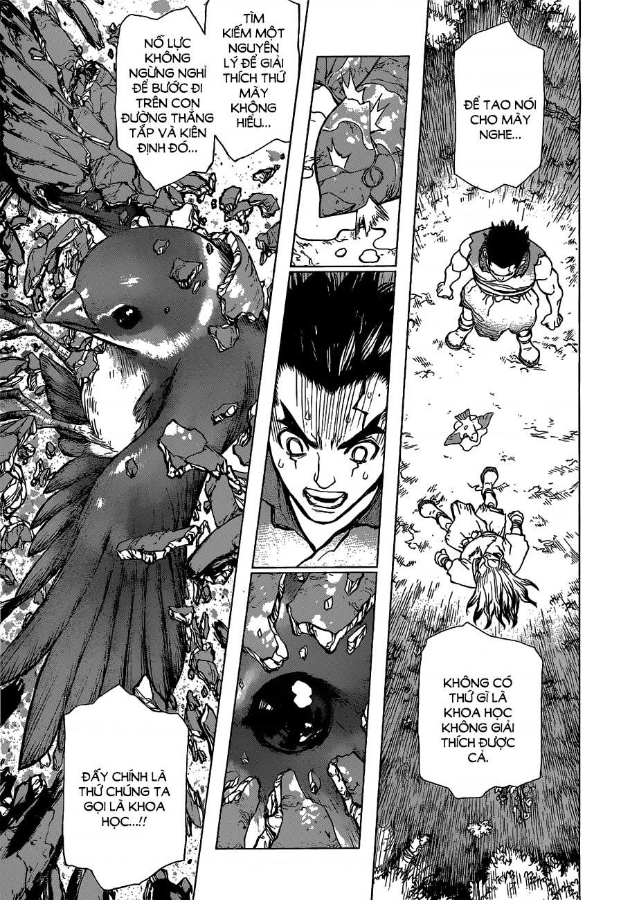 Dr.STONE Vol. 1 Ch. 2 第22页