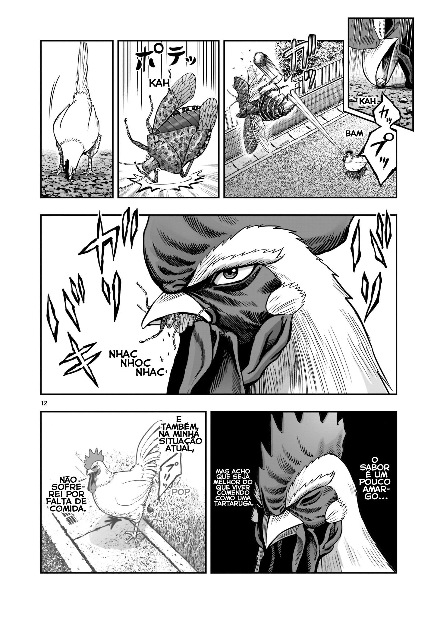 Niwatori Fighter 1ª Pena: Reunião Caótica 第13页
