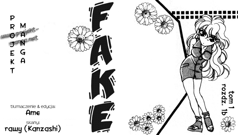 Fake 第1页