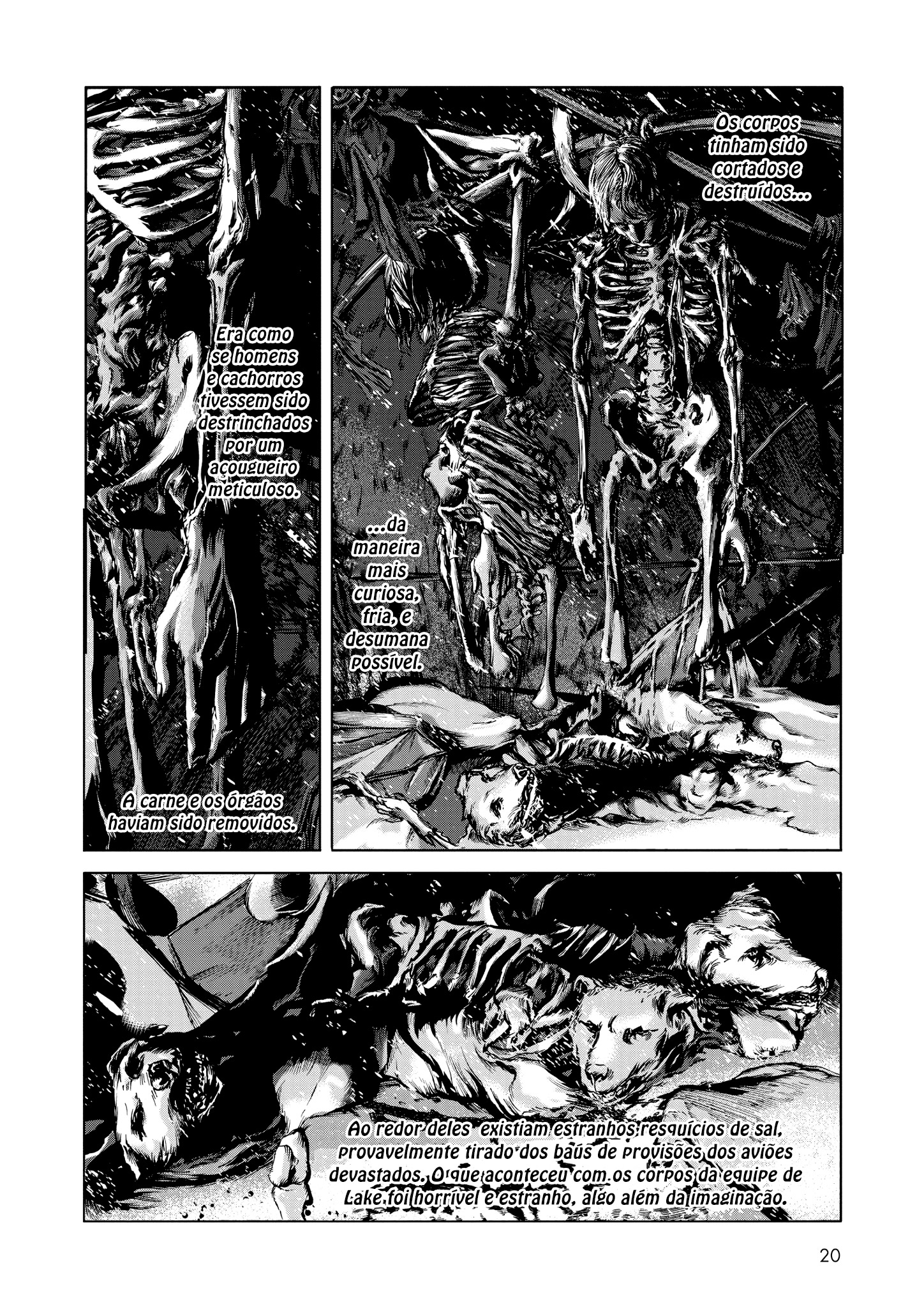 H.P. Lovecraft's At the Mountains of Madness Depois da tempestade 第20页