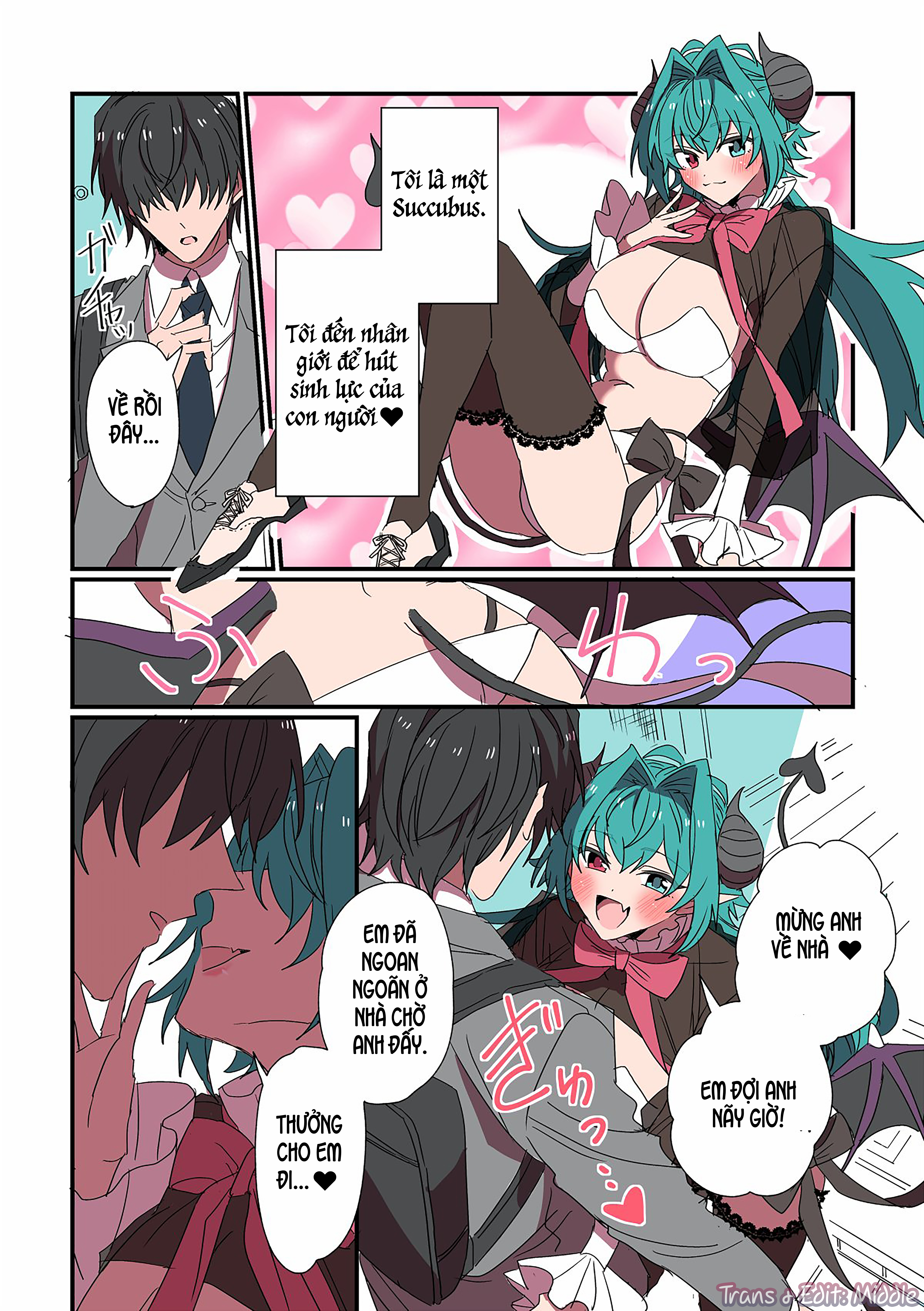 Succubus ga Yattekita Ohanashi Succubus và phần thưởng 第1页