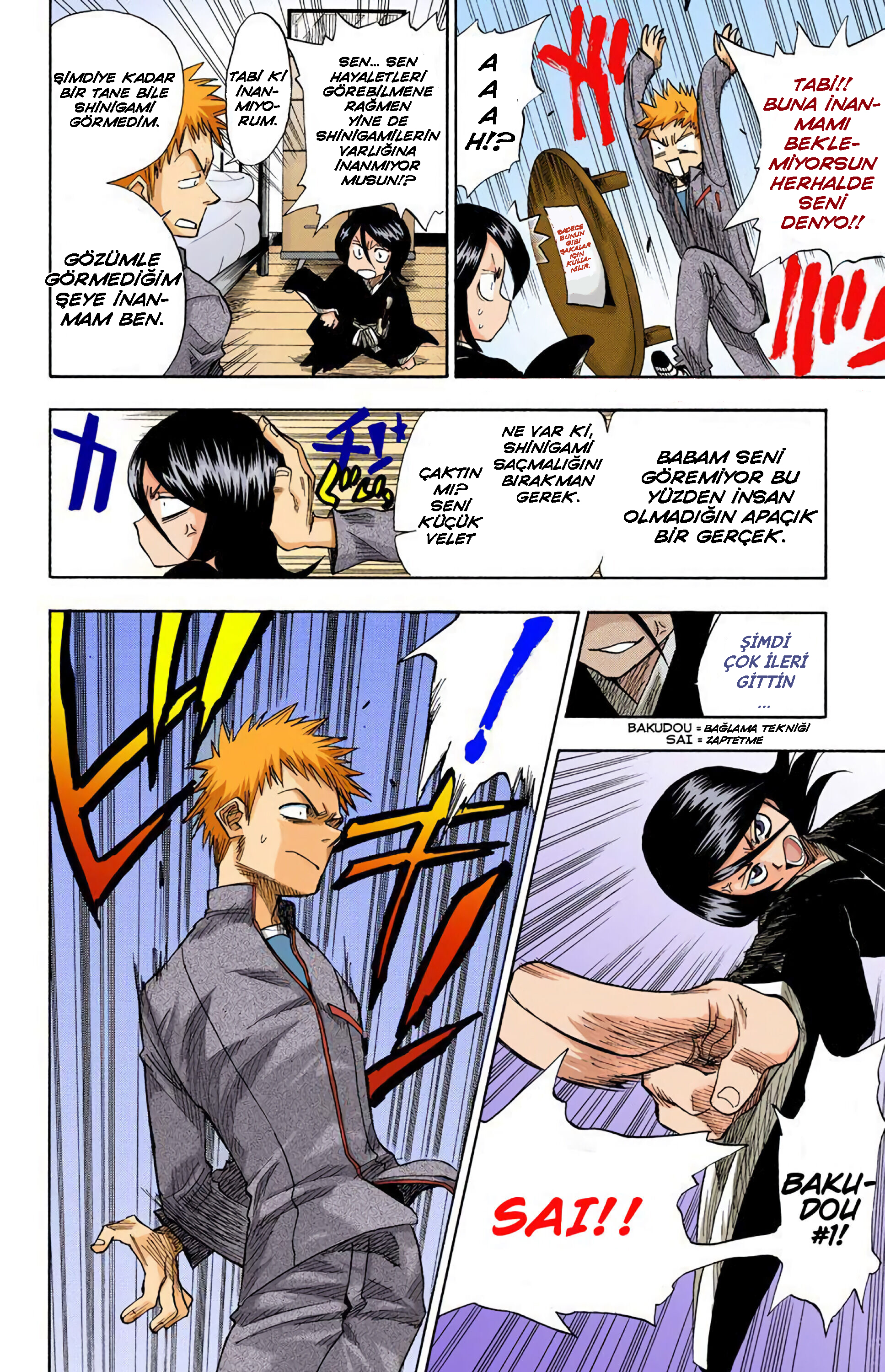 Bleach (Official Colored) Ölüm ve Çilek 第17页