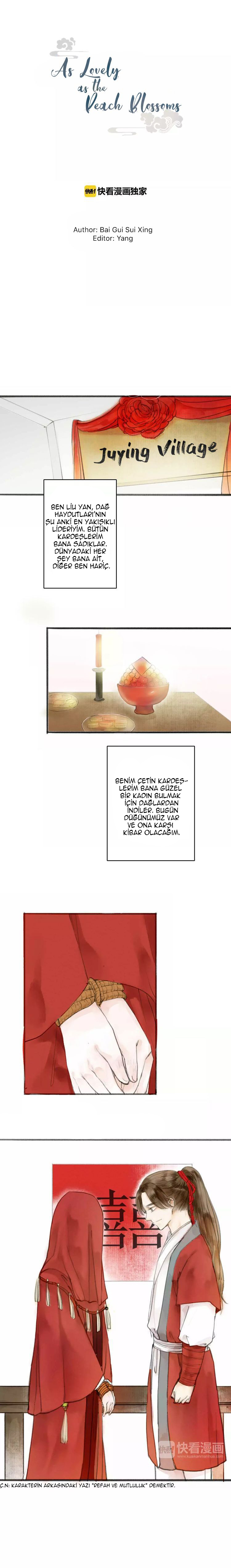 As Lovely as the Peach Blossoms Ch. 1 第2页
