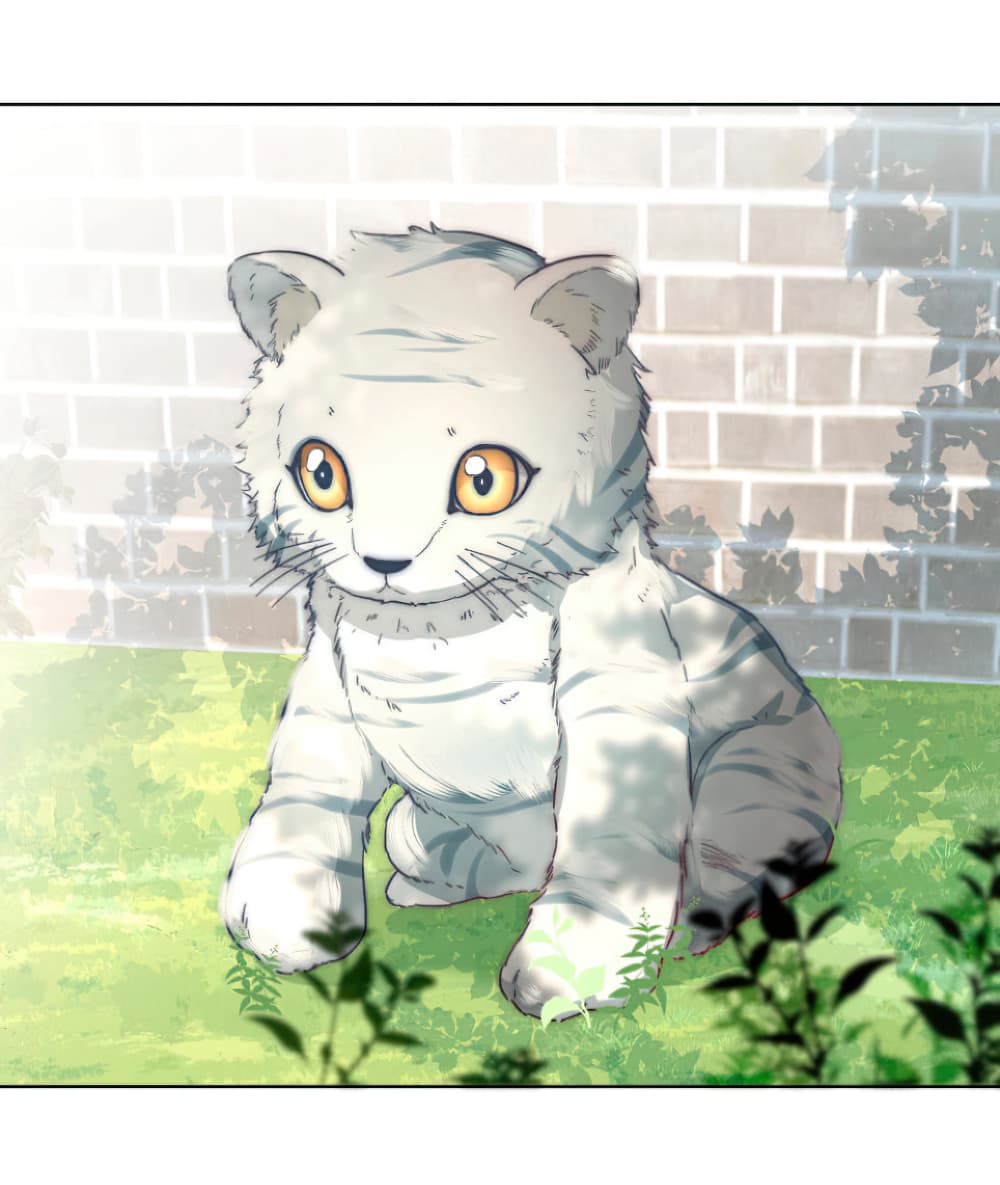 Survival Methods of the Cannon Fodder Daughter Ch. 2 第25页
