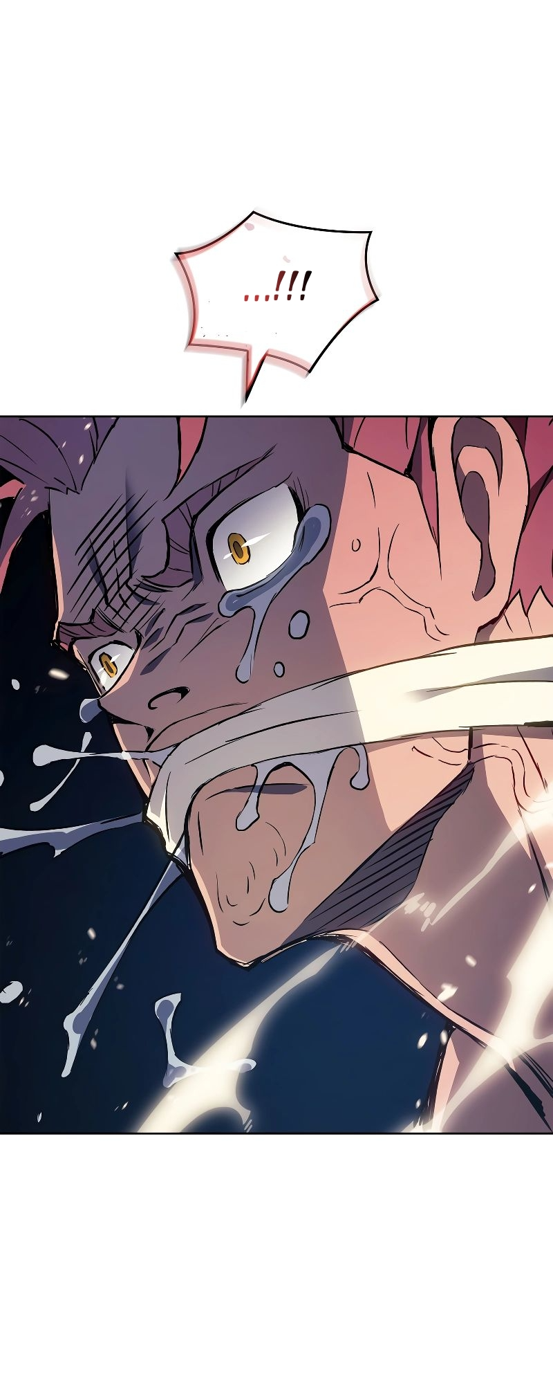 The Reincarnated King of Fists Praktykant Góry (1) 第27页