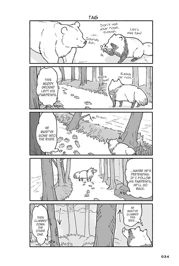 Bear and Tanuki Bear and Tanuki's Spring 第34页