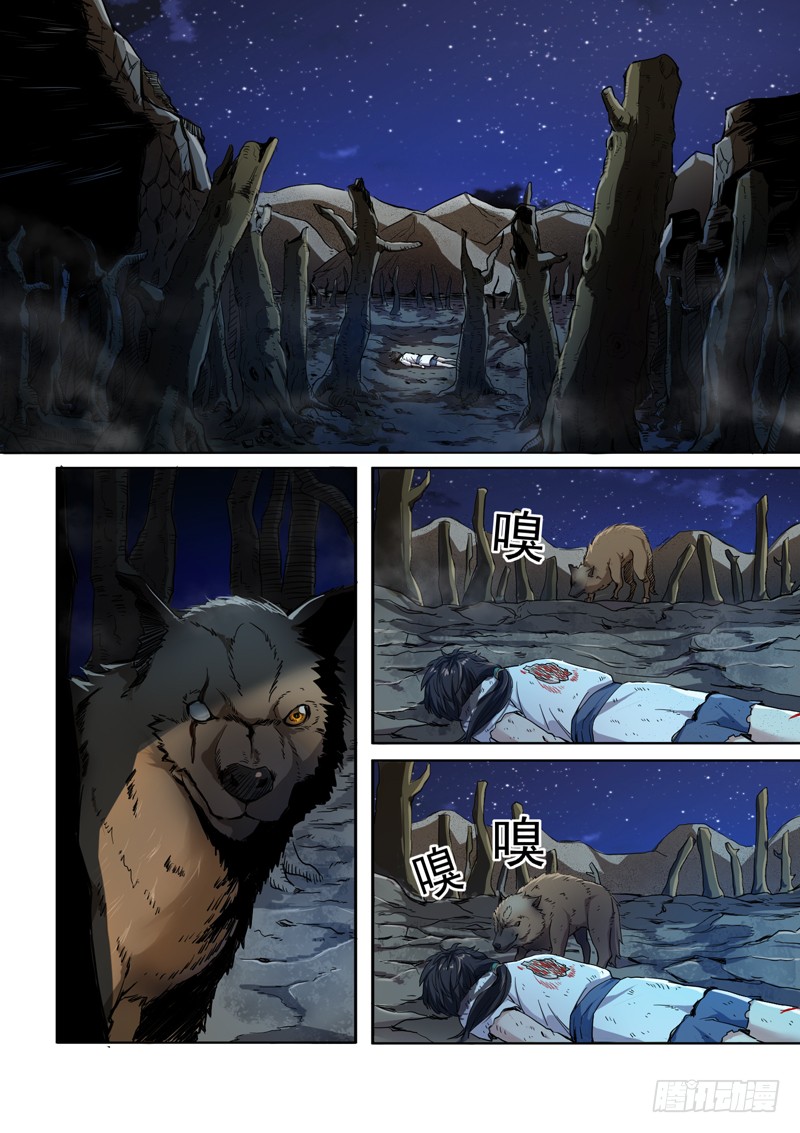 The Seal of the Mountains and Seas Heavy fire 第19页