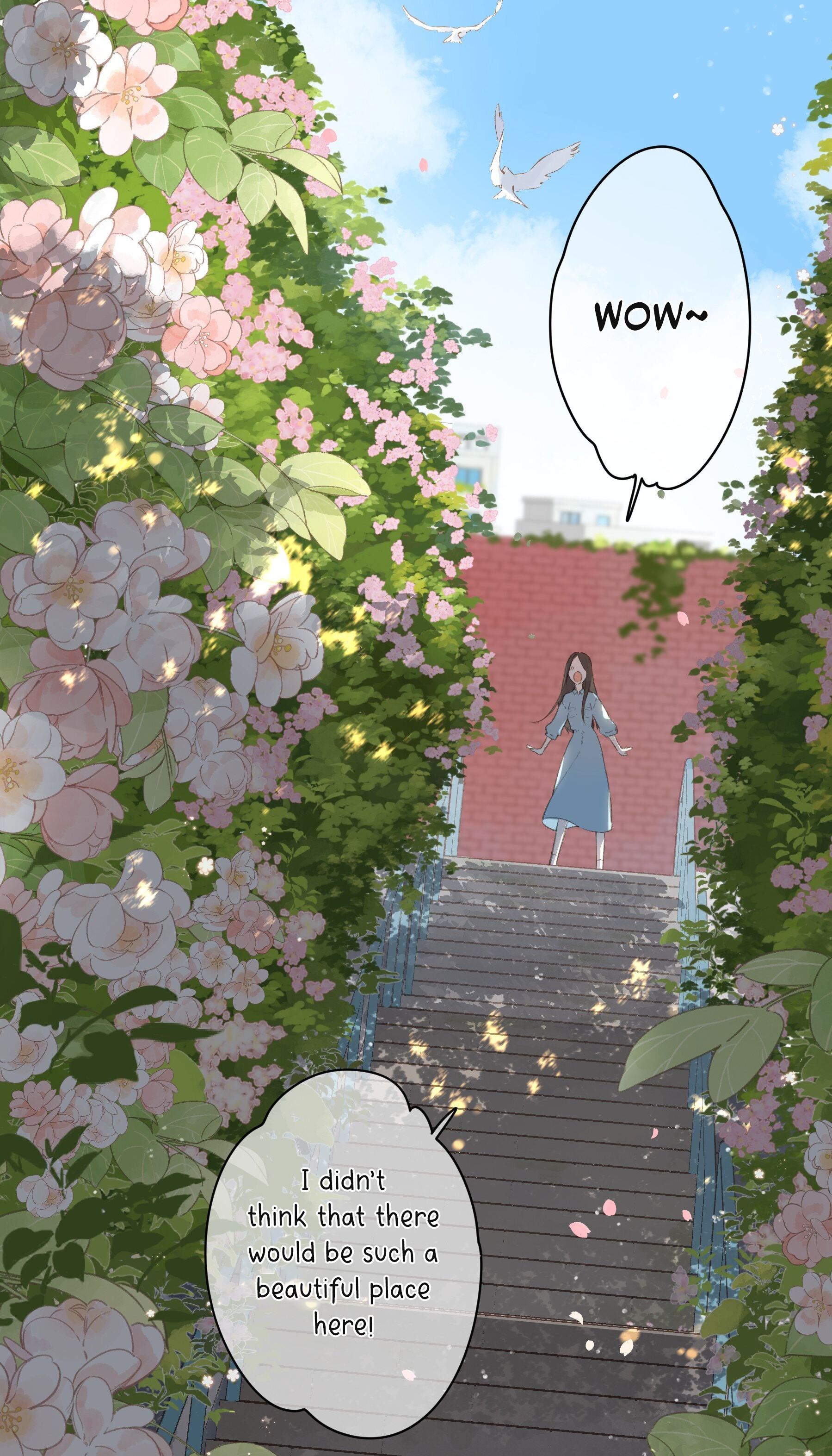 Summer Bloom At The Corner of The Street A Flower Shop Named Summer Bloom 第14页