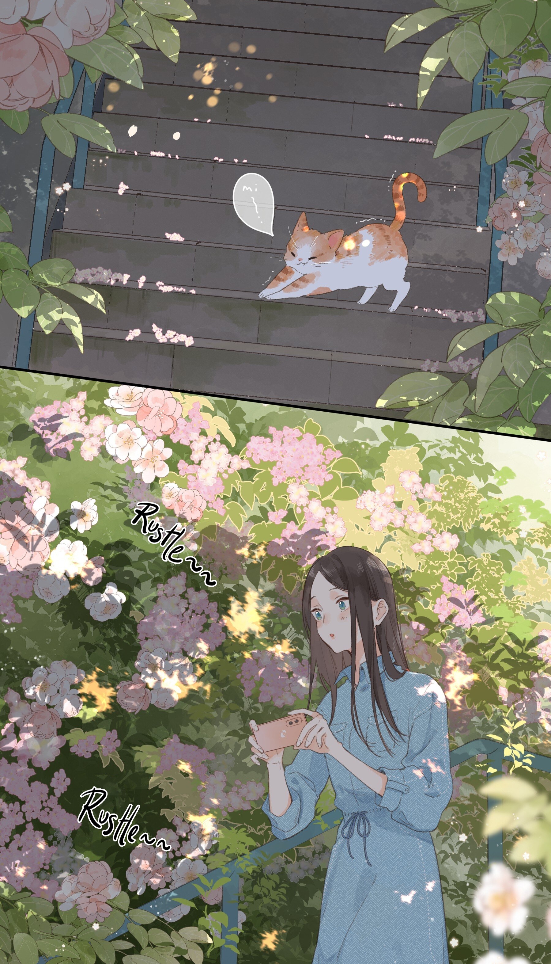 Summer Bloom At The Corner of The Street A Flower Shop Named Summer Bloom 第15页