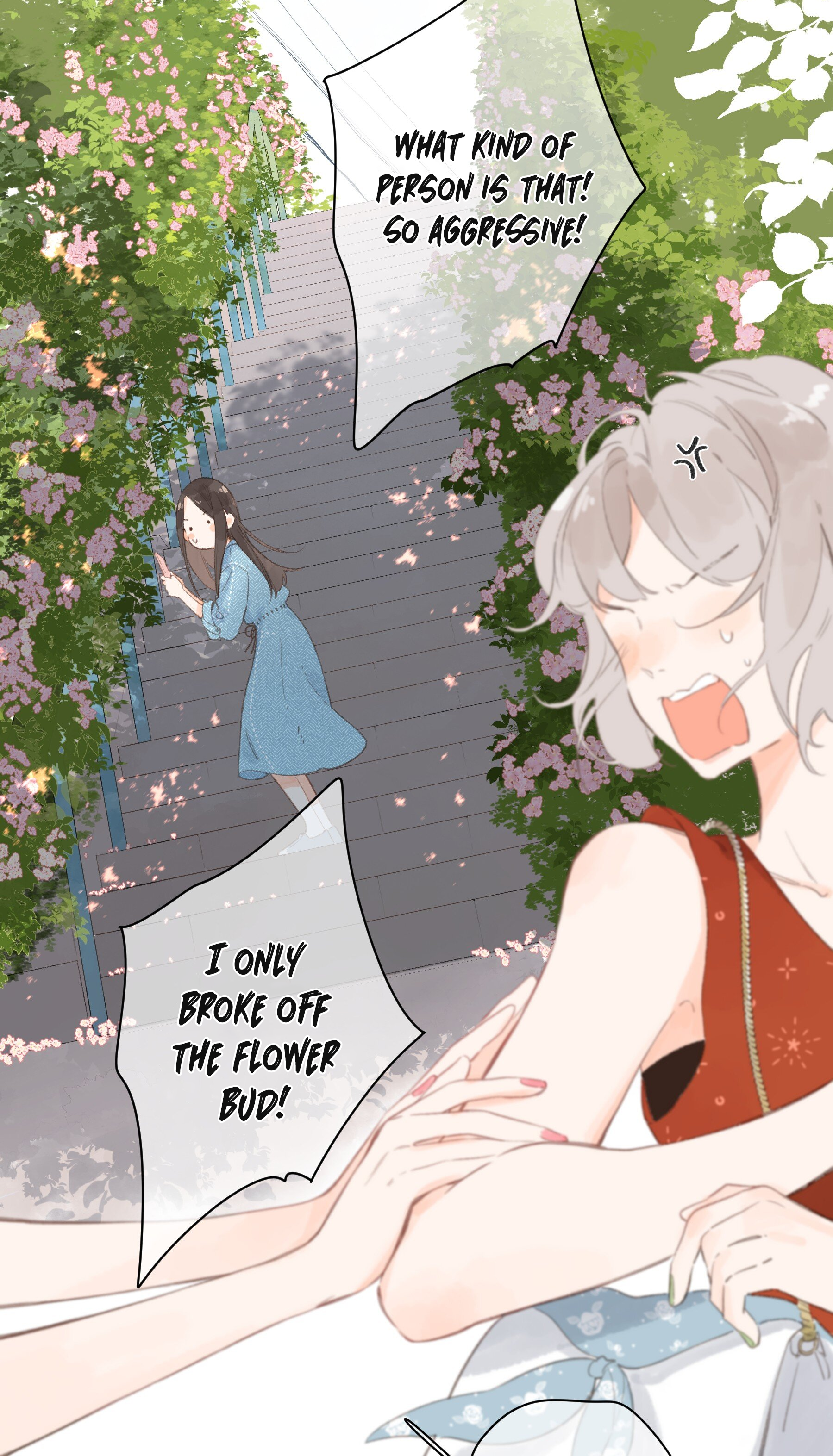 Summer Bloom At The Corner of The Street A Flower Shop Named Summer Bloom 第17页