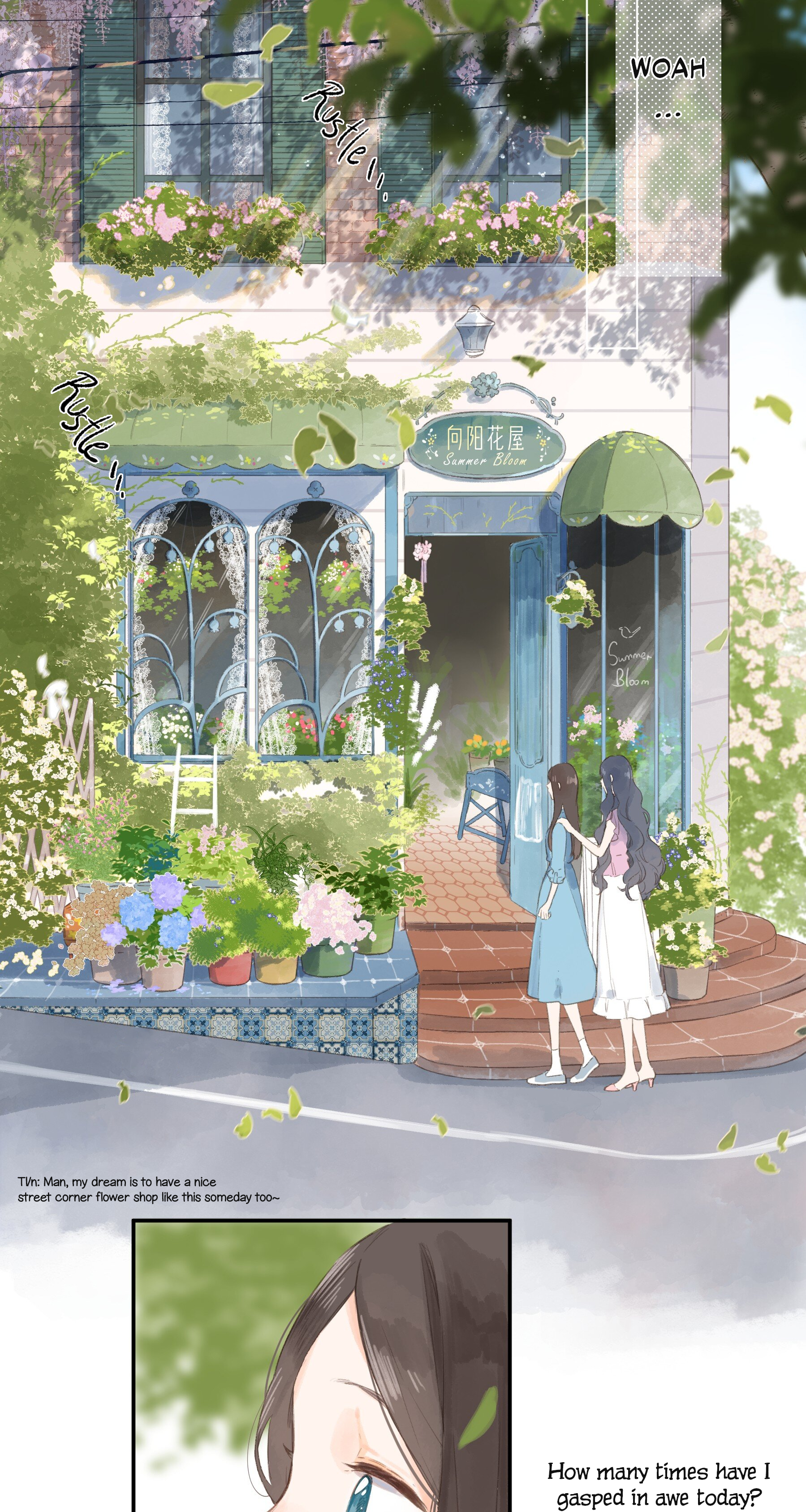 Summer Bloom At The Corner of The Street A Flower Shop Named Summer Bloom 第25页