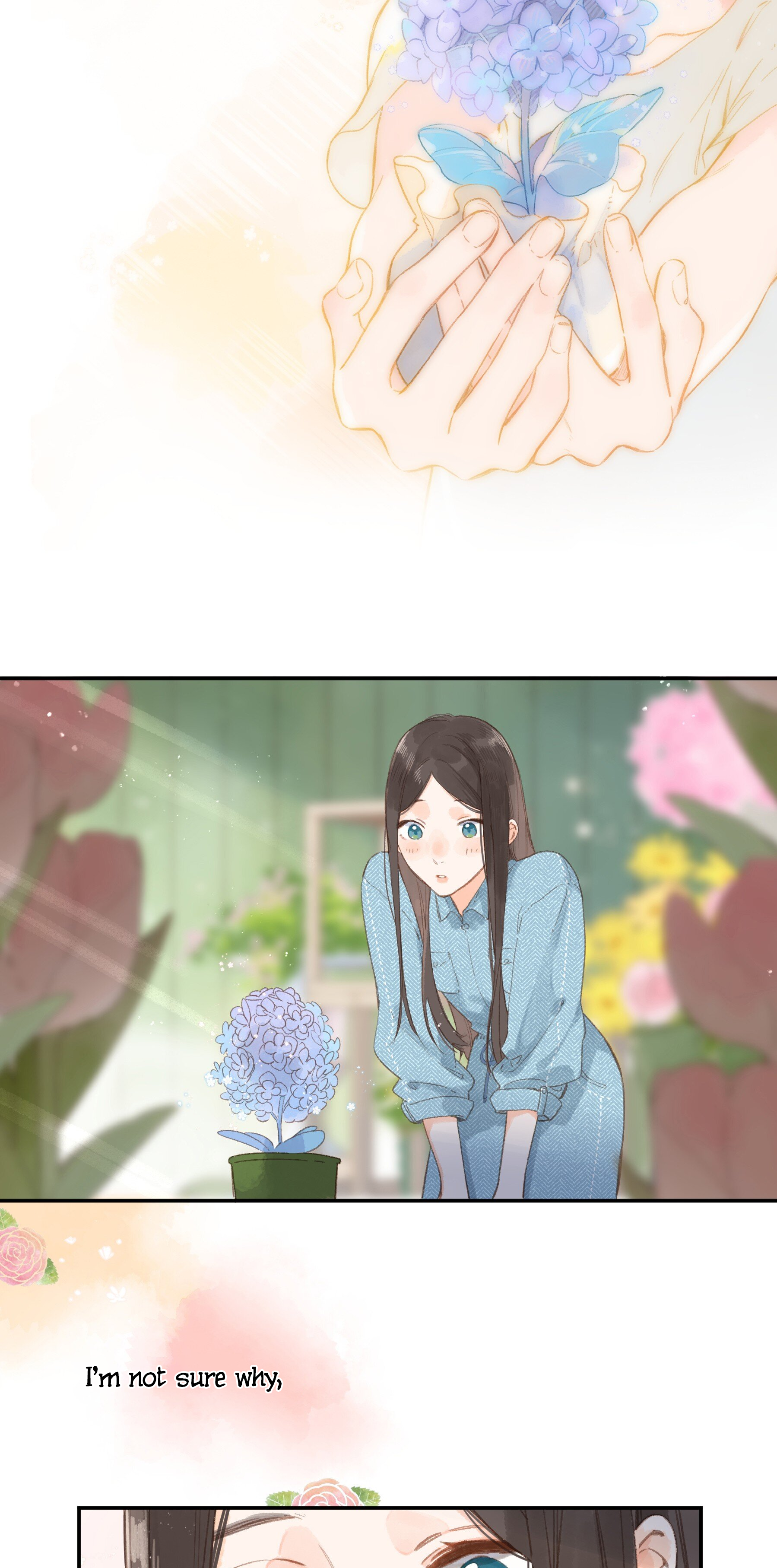 Summer Bloom At The Corner of The Street A Flower Shop Named Summer Bloom 第34页