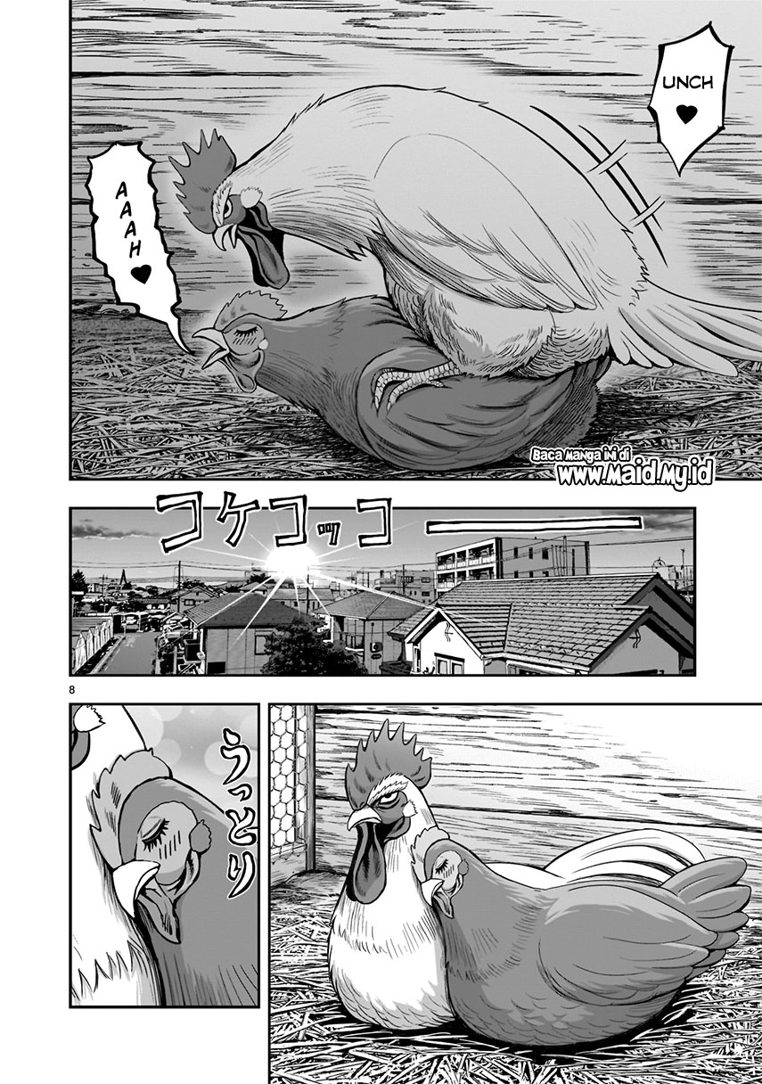 Niwatori Fighter Vol. 1 Ch. 1 第11页