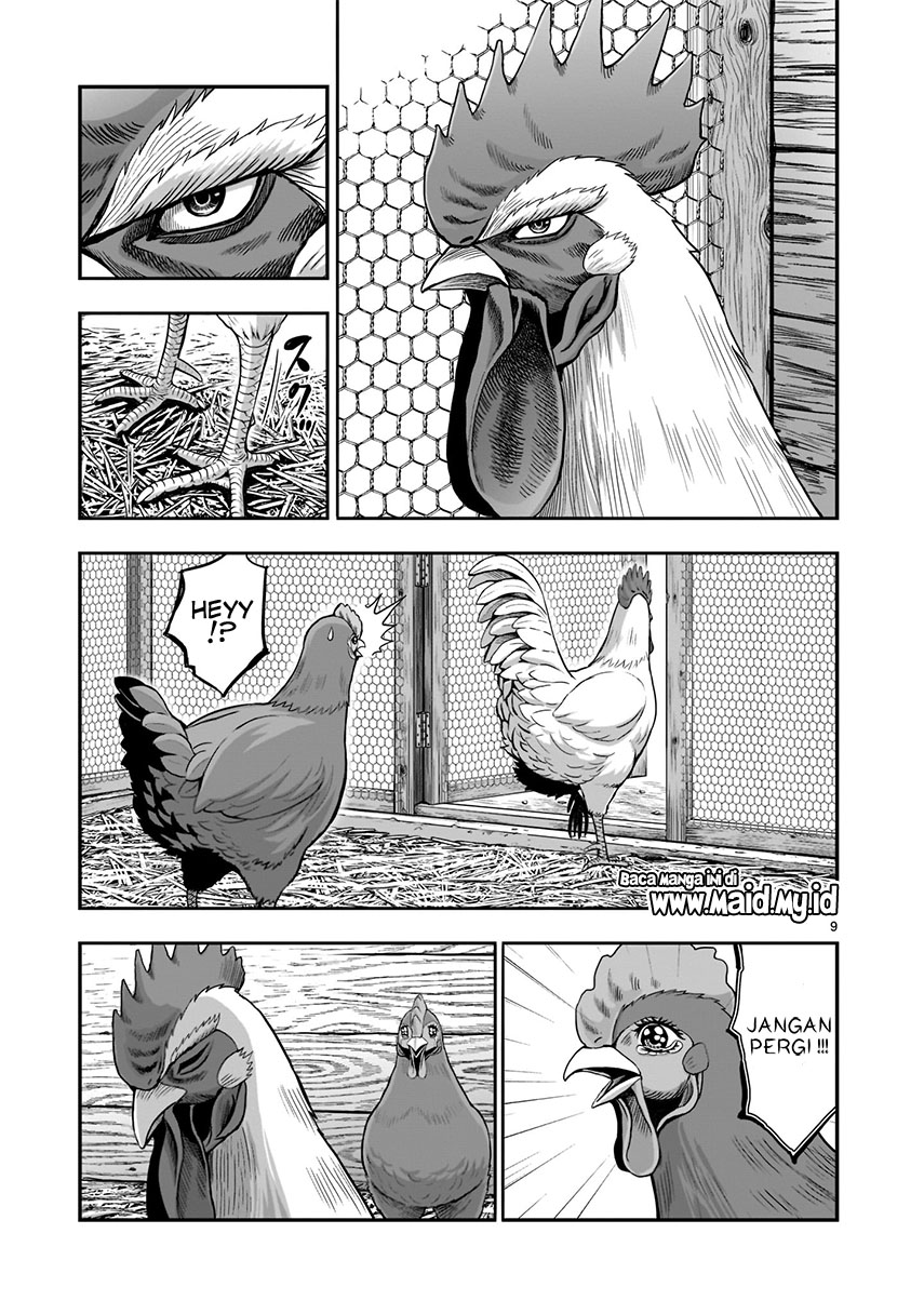 Niwatori Fighter Vol. 1 Ch. 1 第12页