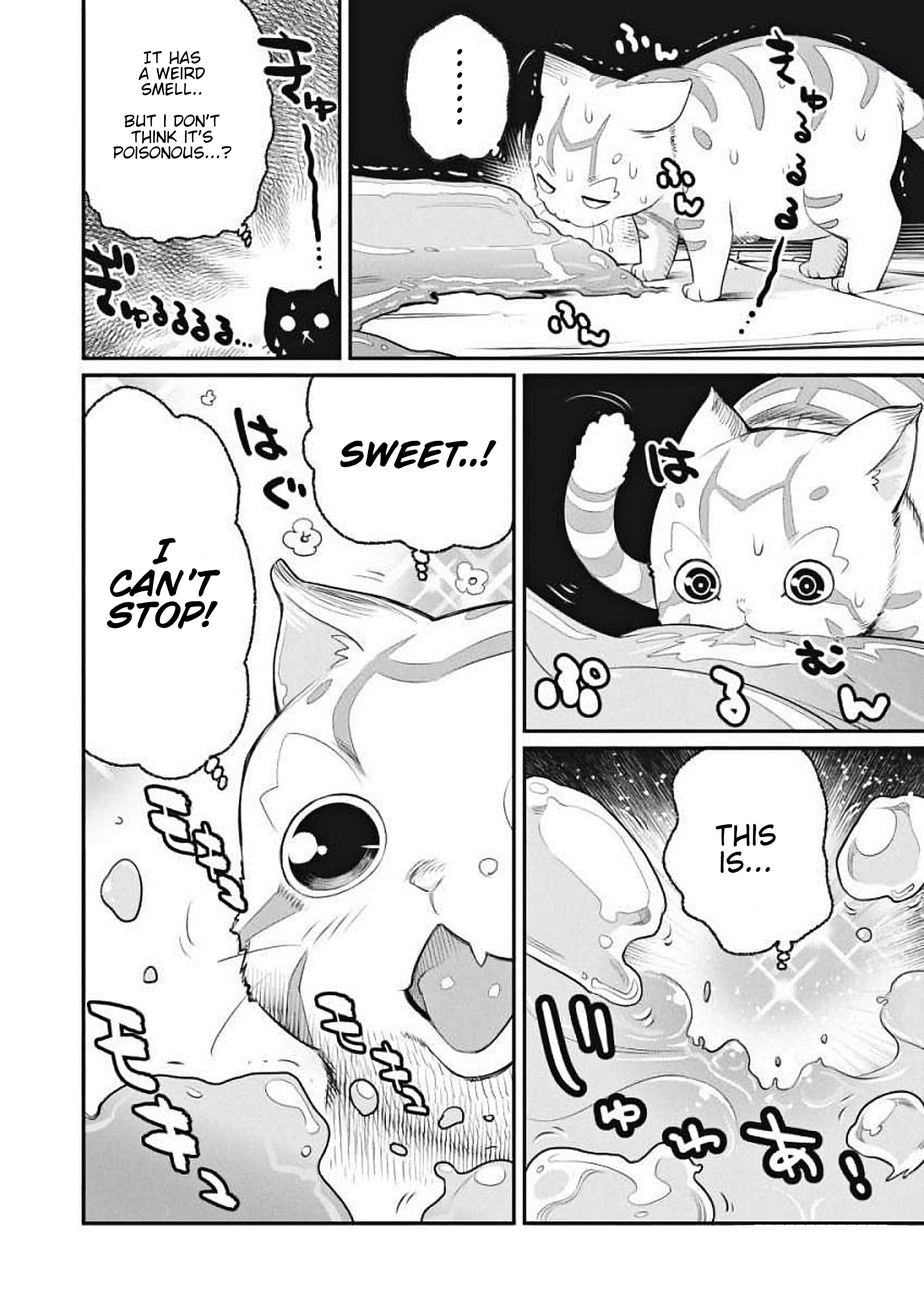 S-Rank Monster no "Behemoth" dakedo, Neko to Machigawarete Elf Musume no Pet to Shite Kurashitemasu A Knight's vow 第12页