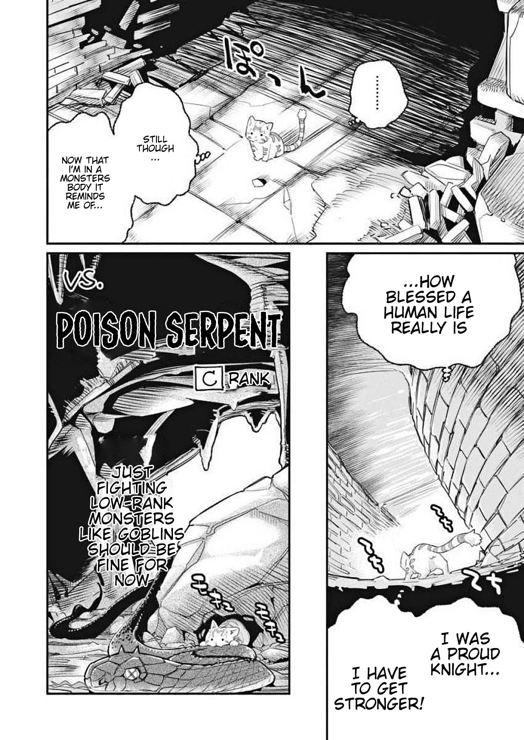 S-Rank Monster no "Behemoth" dakedo, Neko to Machigawarete Elf Musume no Pet to Shite Kurashitemasu A Knight's vow 第14页