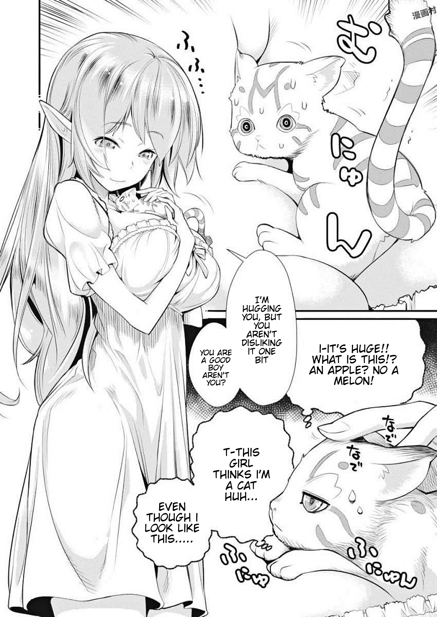 S-Rank Monster no "Behemoth" dakedo, Neko to Machigawarete Elf Musume no Pet to Shite Kurashitemasu A Knight's vow 第8页