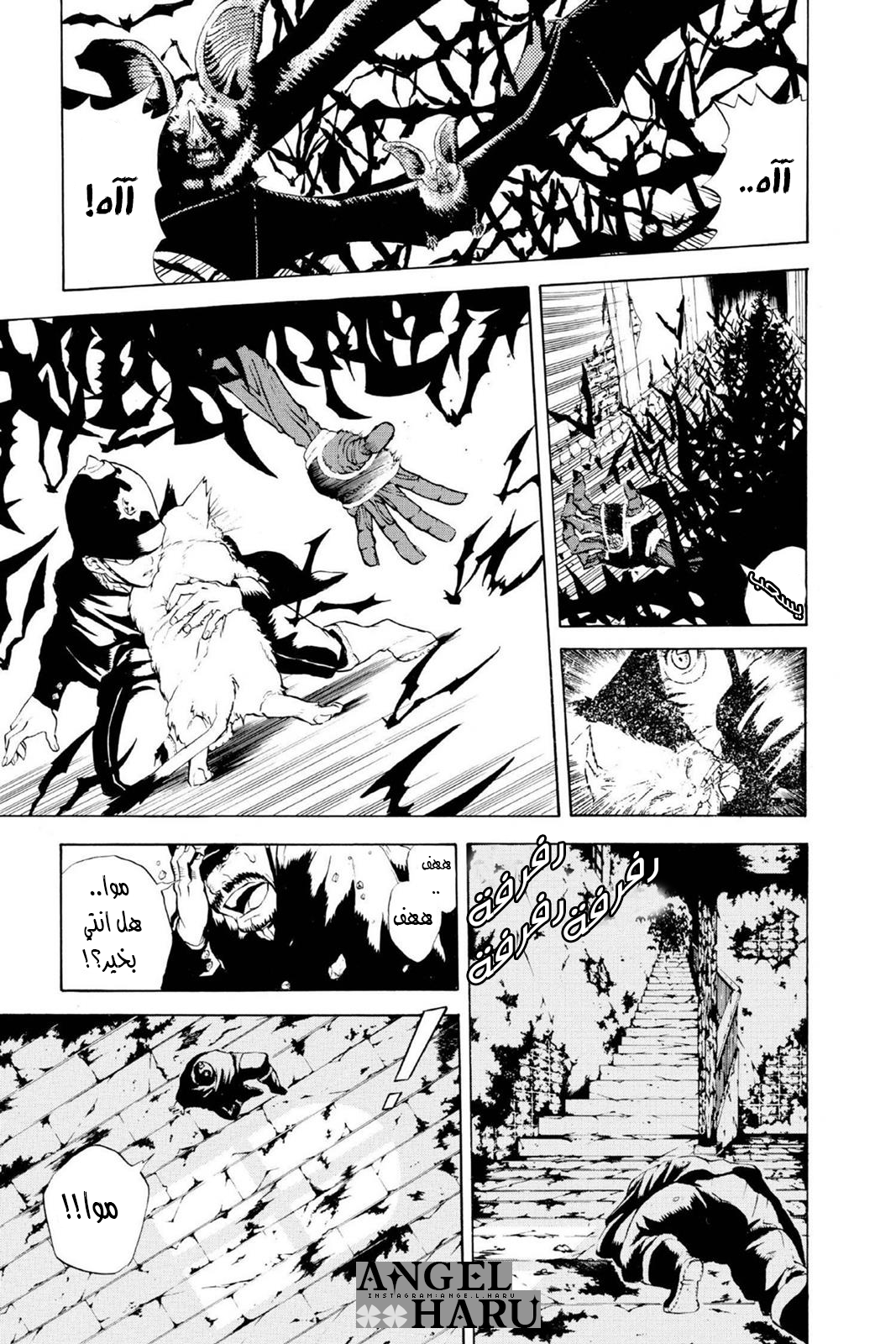 D.Gray-man الليلة الأولى: الافتتاحية 第11页