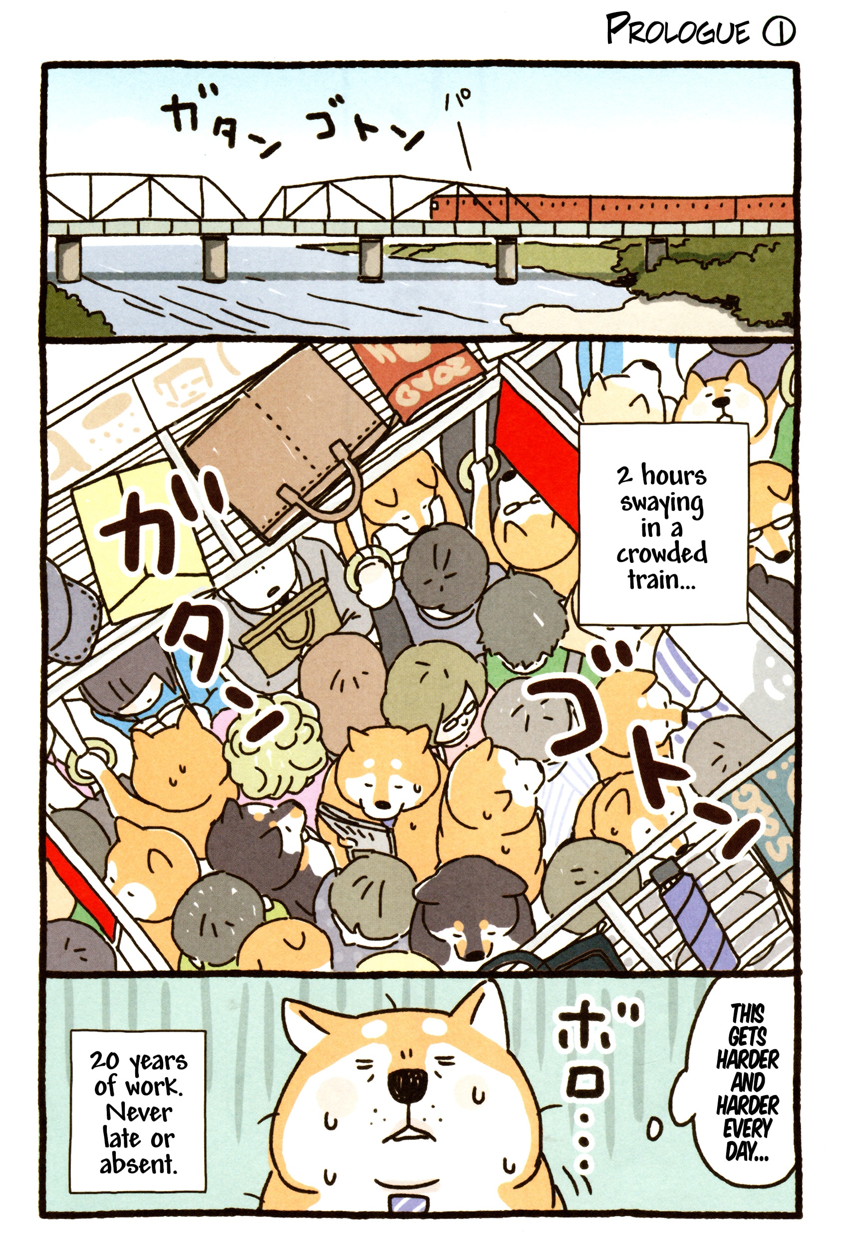 Shiba Occhan 第3页