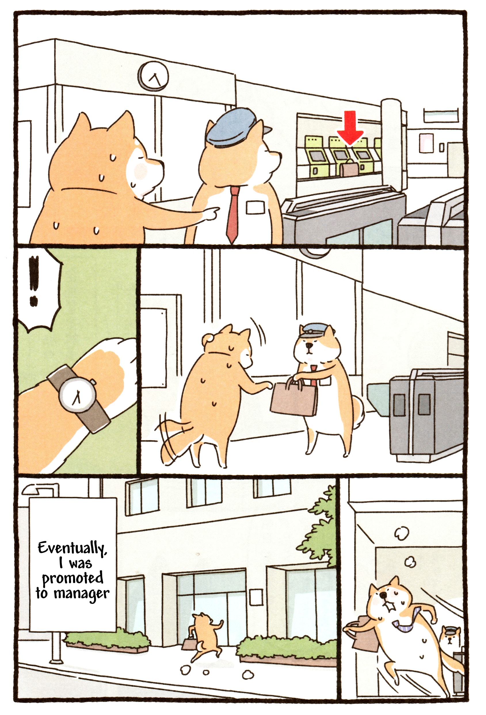 Shiba Occhan 第6页